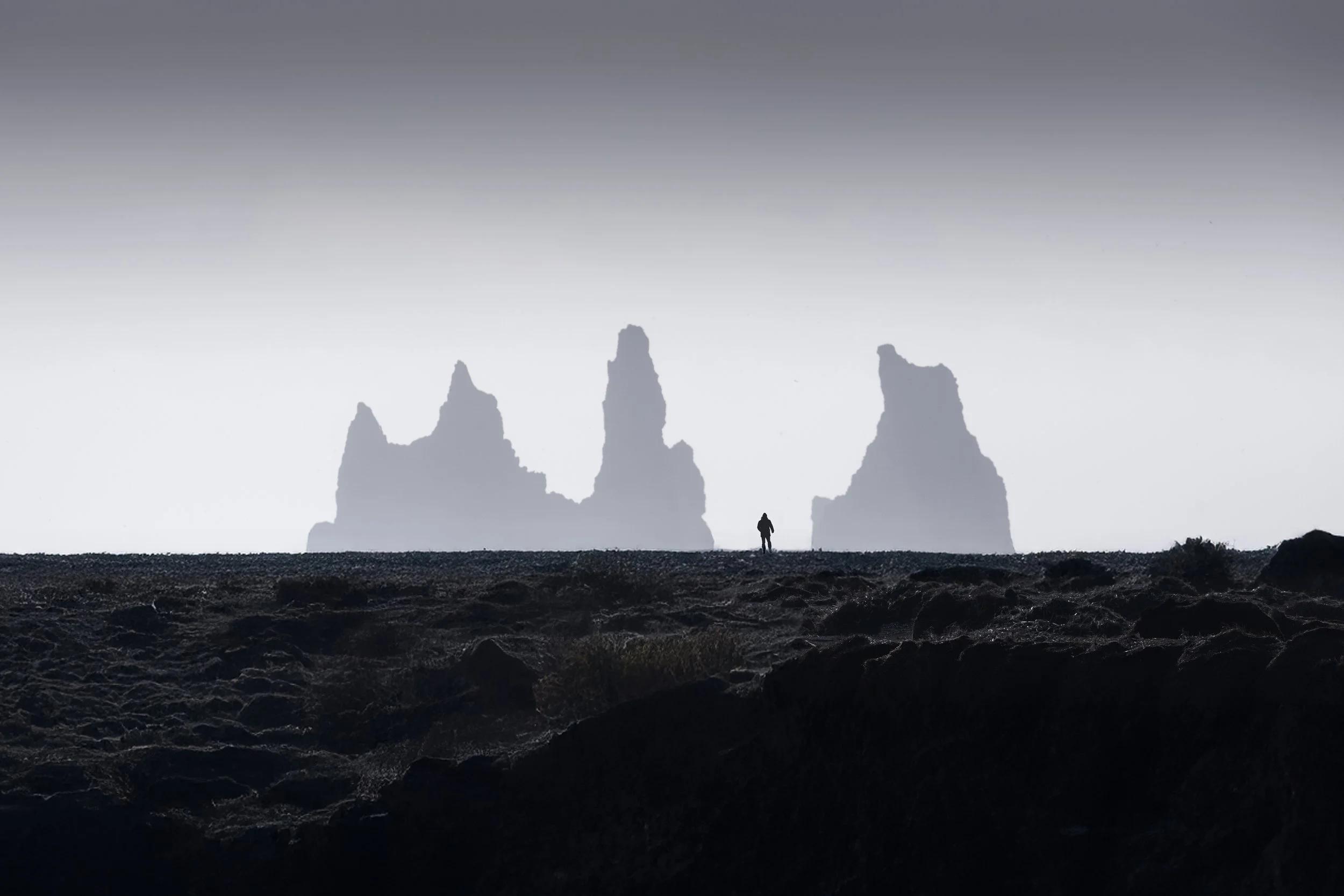 The Awakening web.jpg