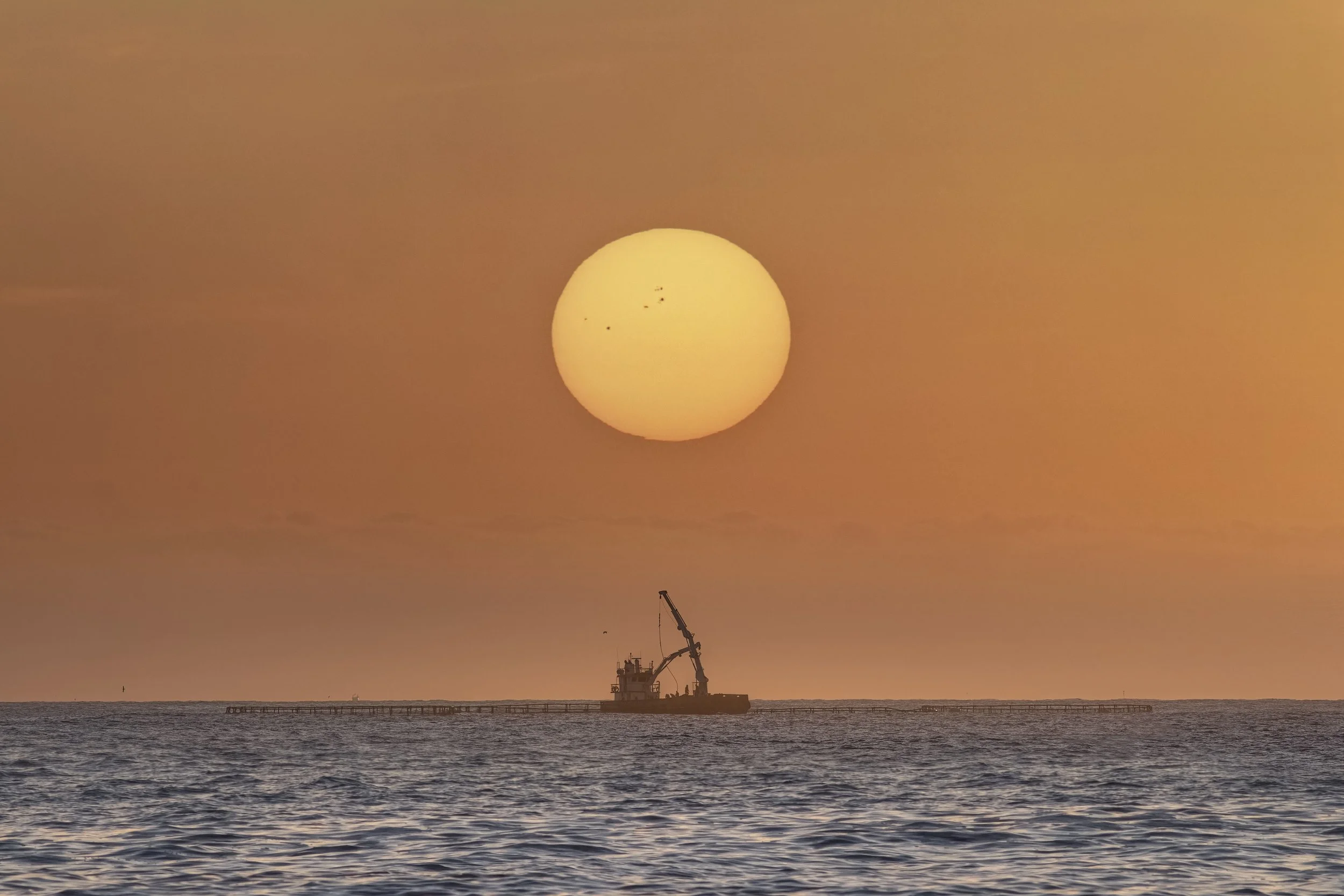 Up Rising Sun Spots web.jpg