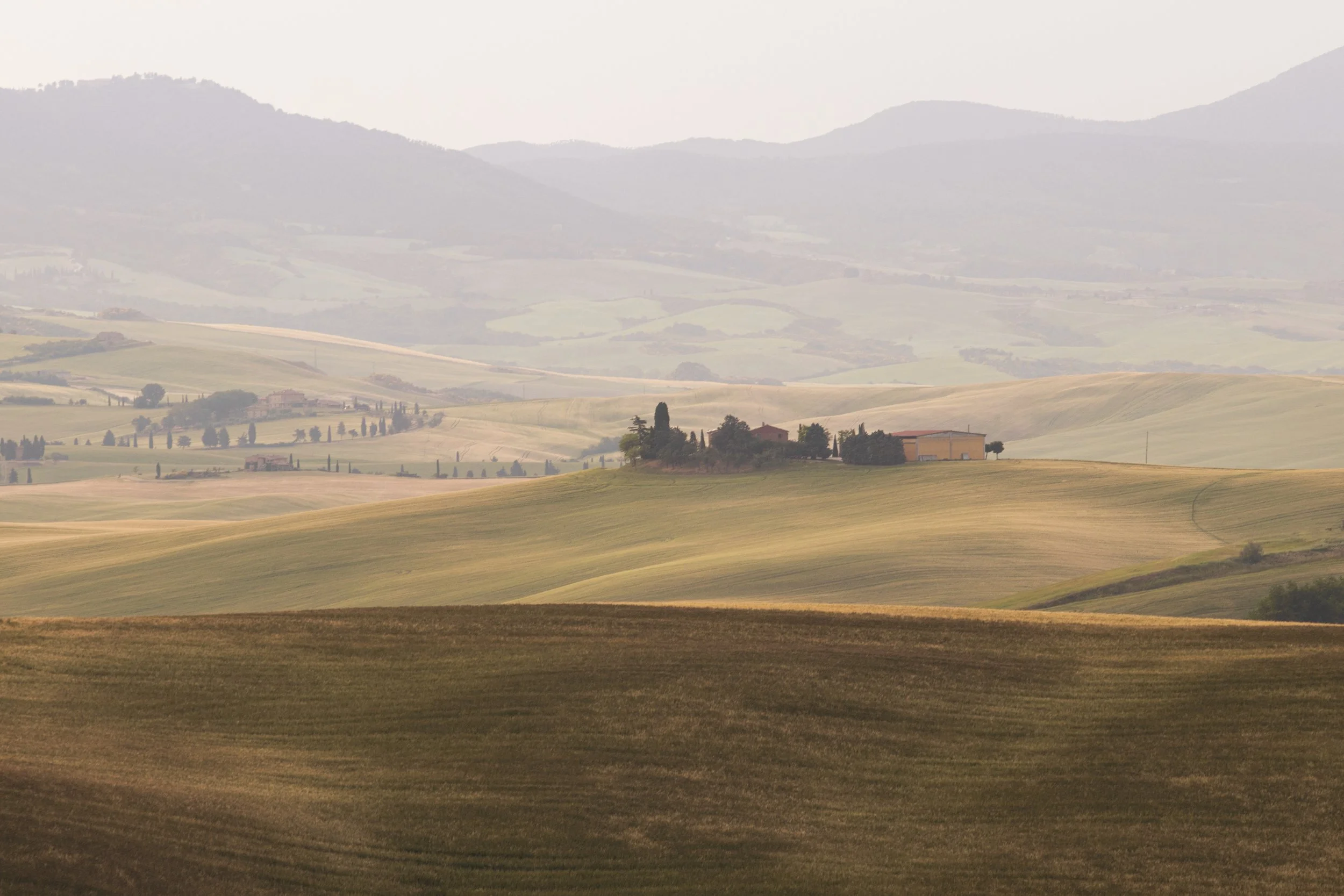 farm on the textured hill web.jpg