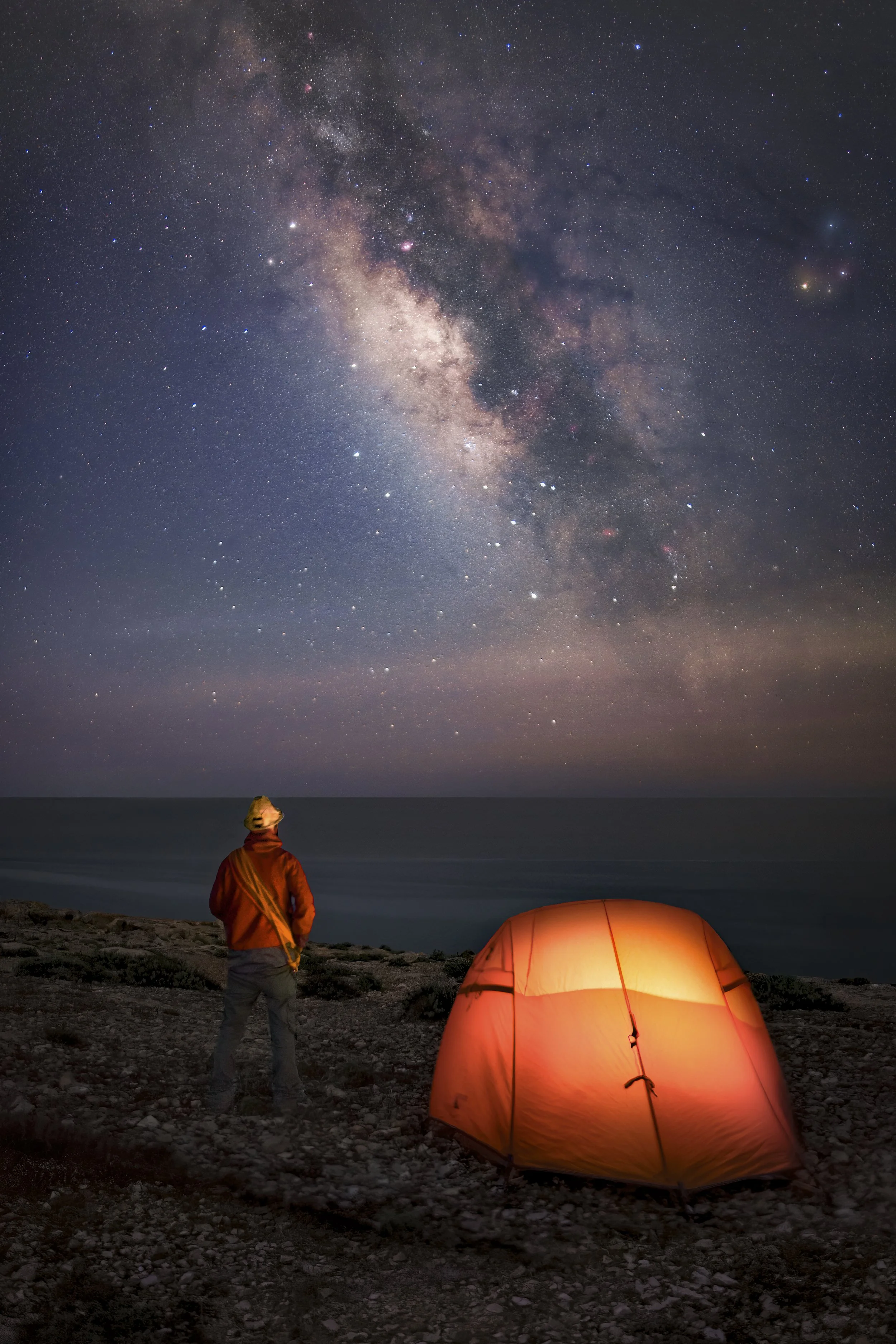 alone in the dark web.jpg