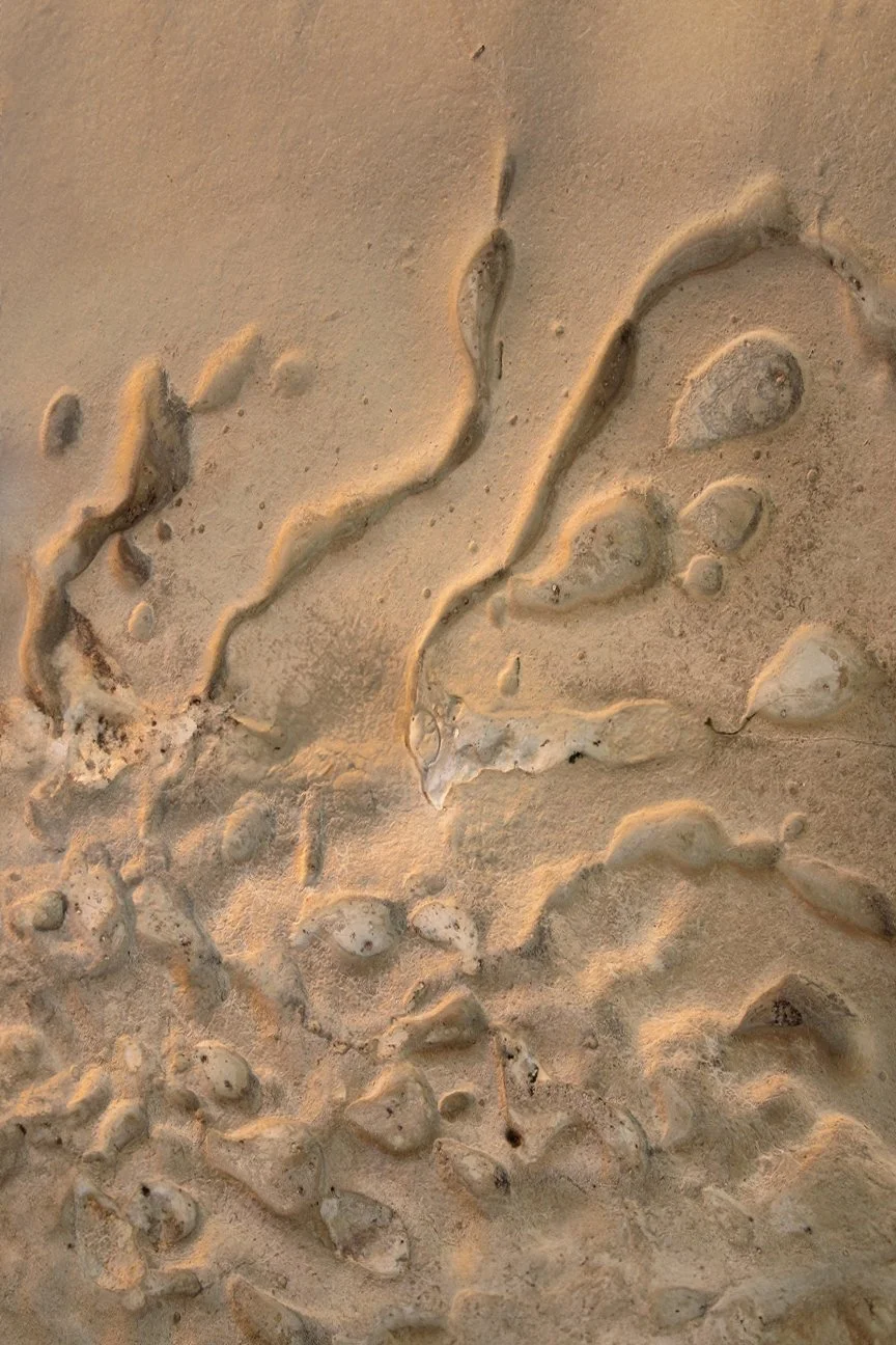 Layers Of Gharb web.jpg