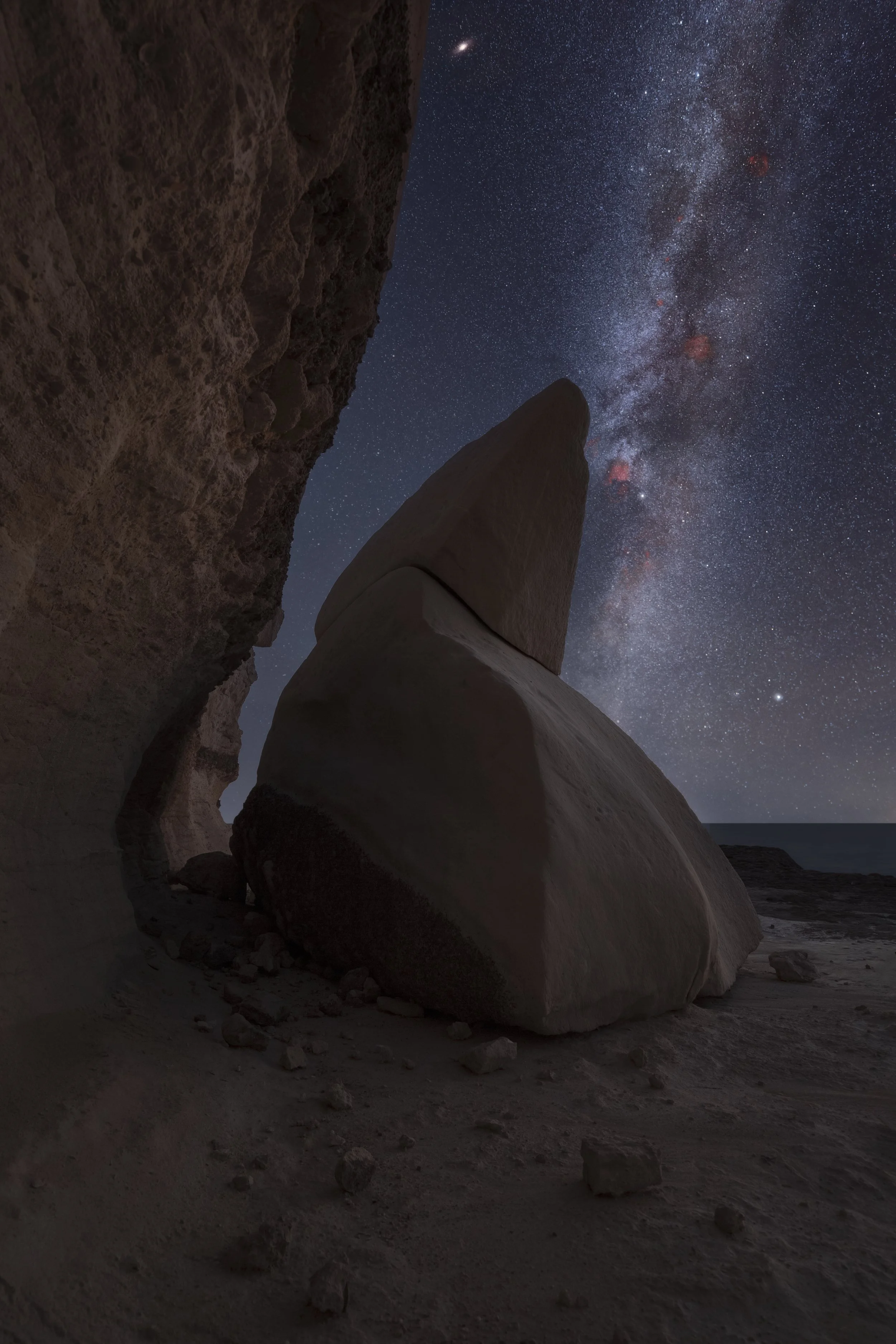 The Shark Cygnus Connection web.jpg