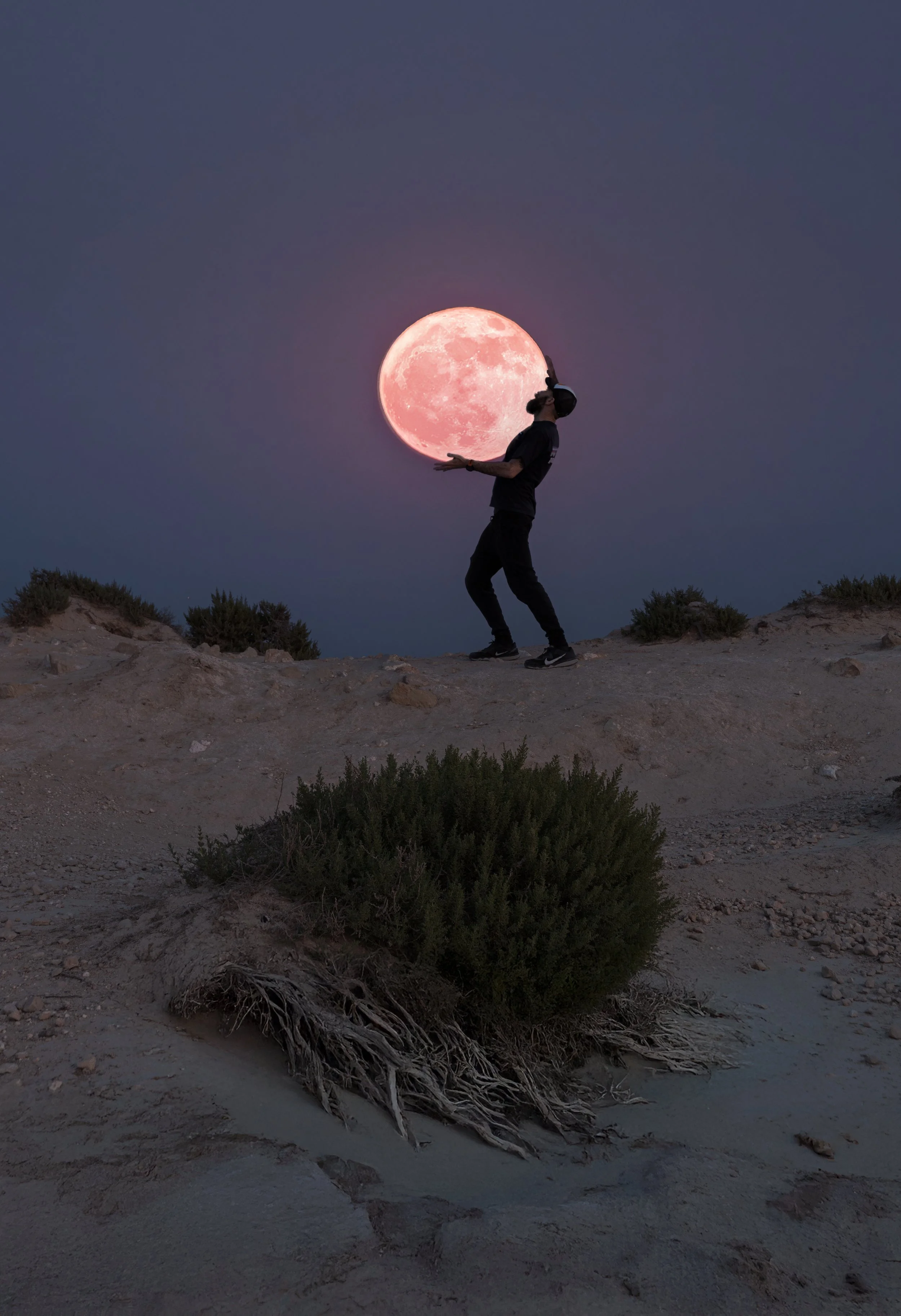 Holding The Strawberry Moon web.jpg