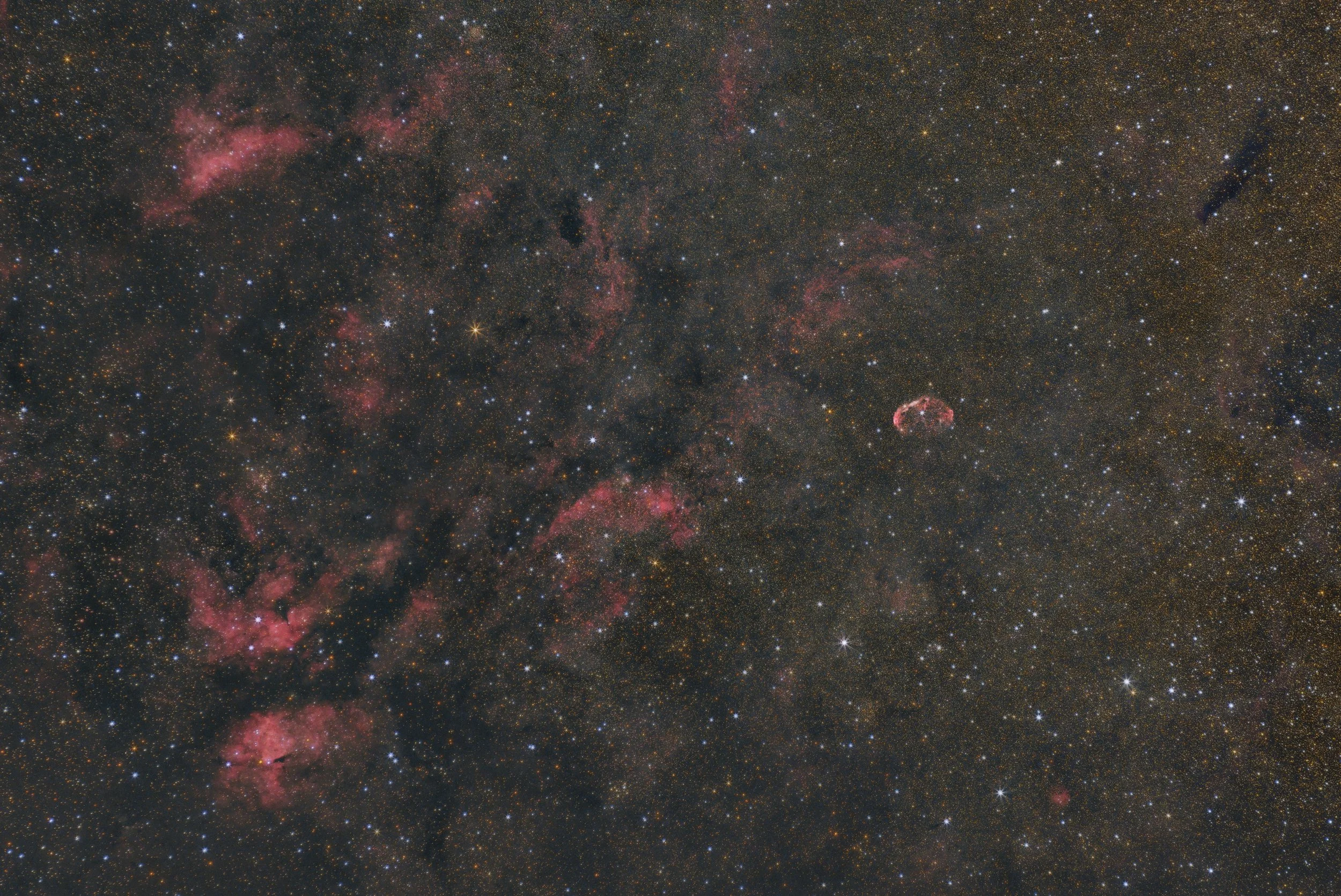 The Pelican & Crescent Nebula