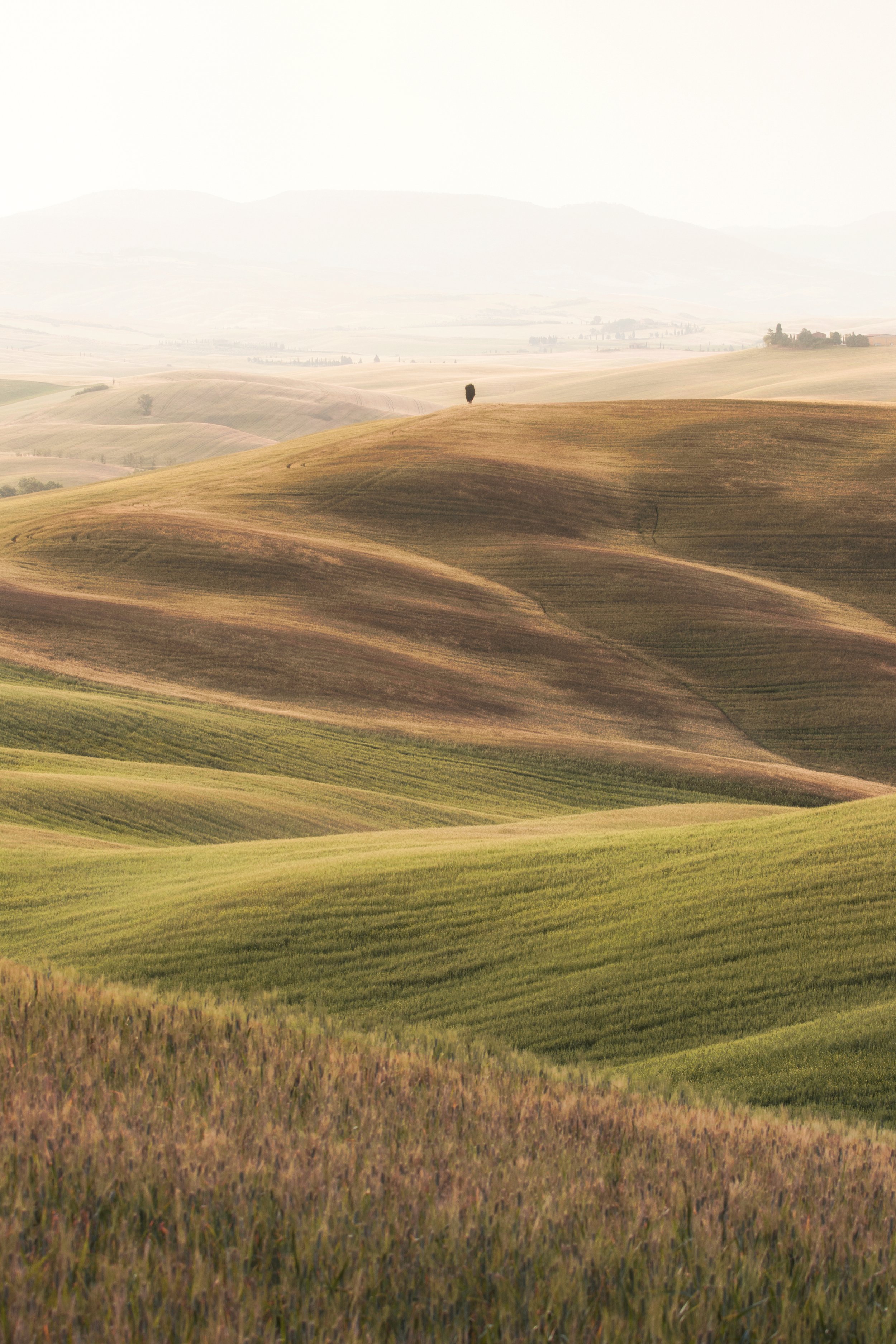 layers of tuscany web.jpg