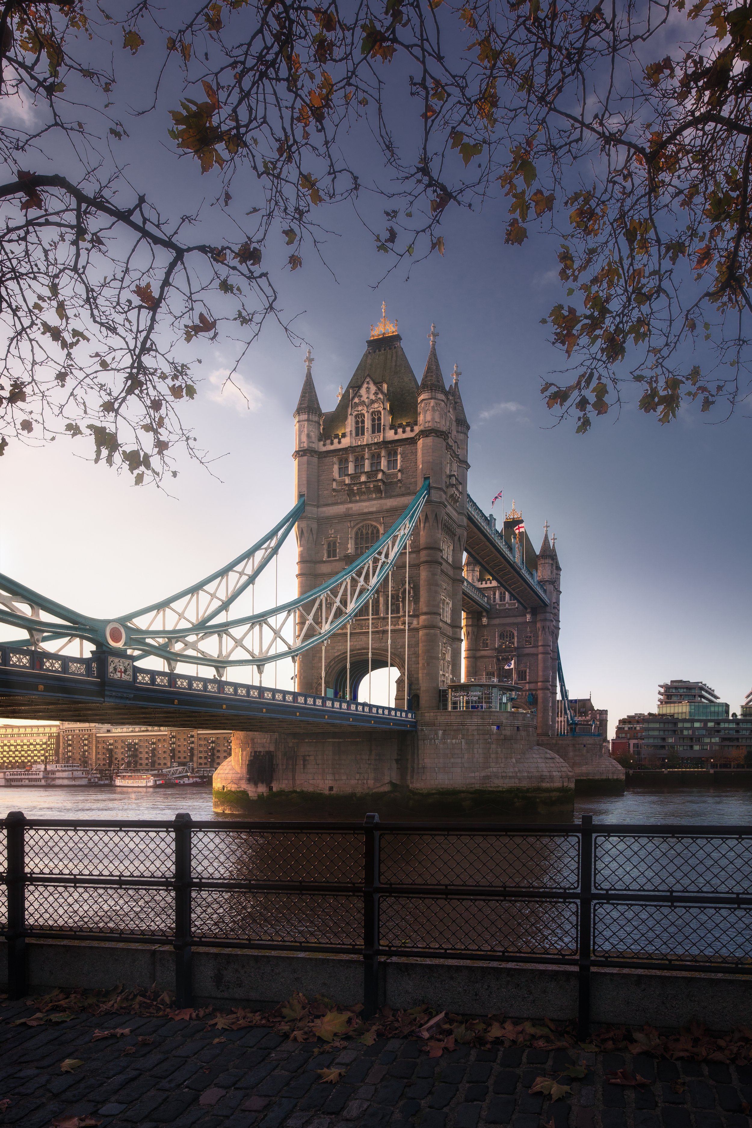 Fancing The Tower Bridge web.jpg