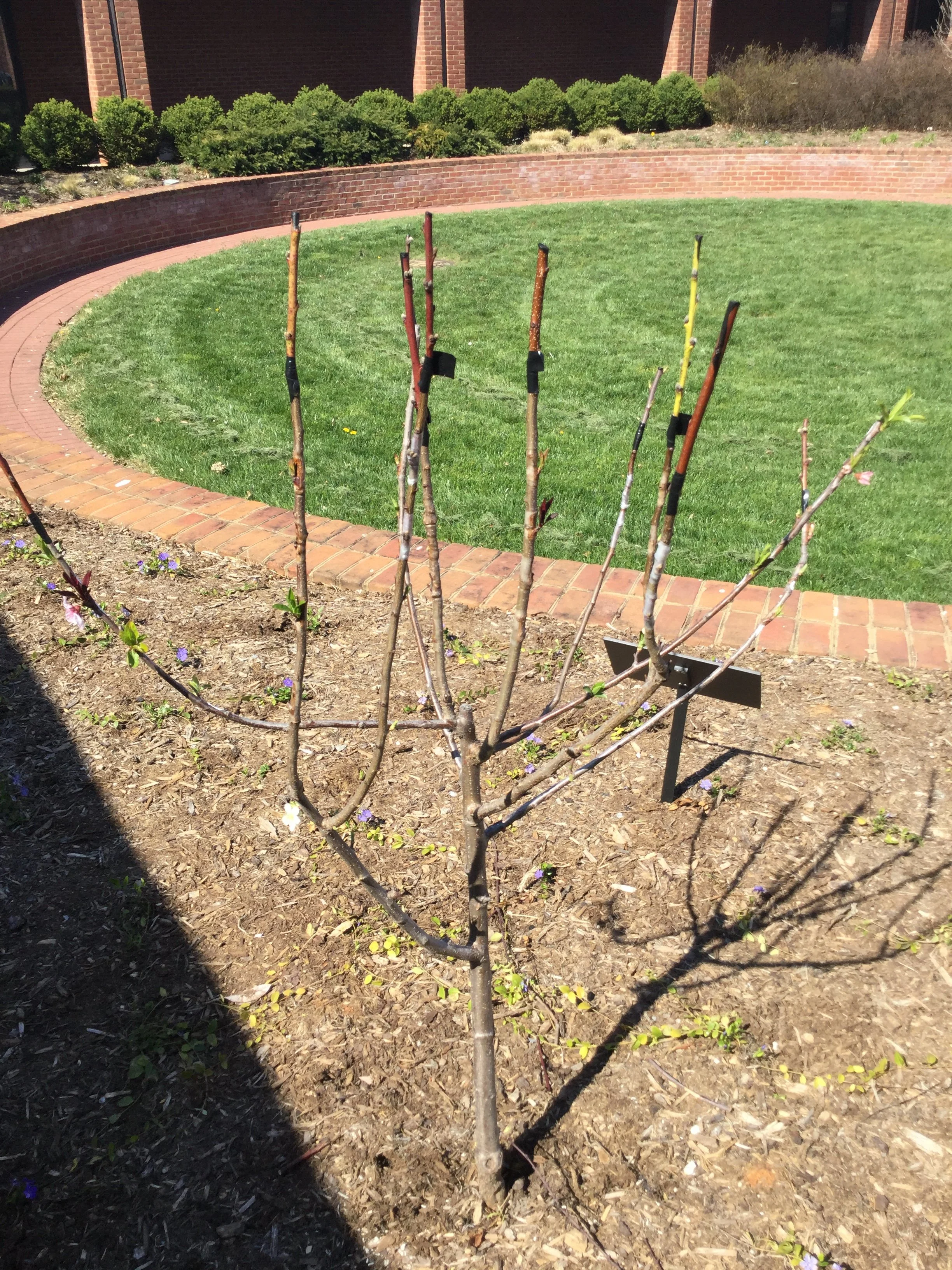 April, 2018