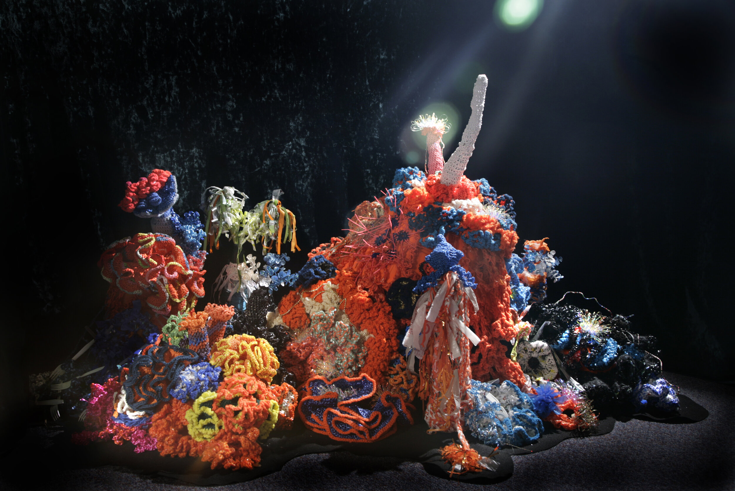 The Roanoke Valley Reef; January 2013