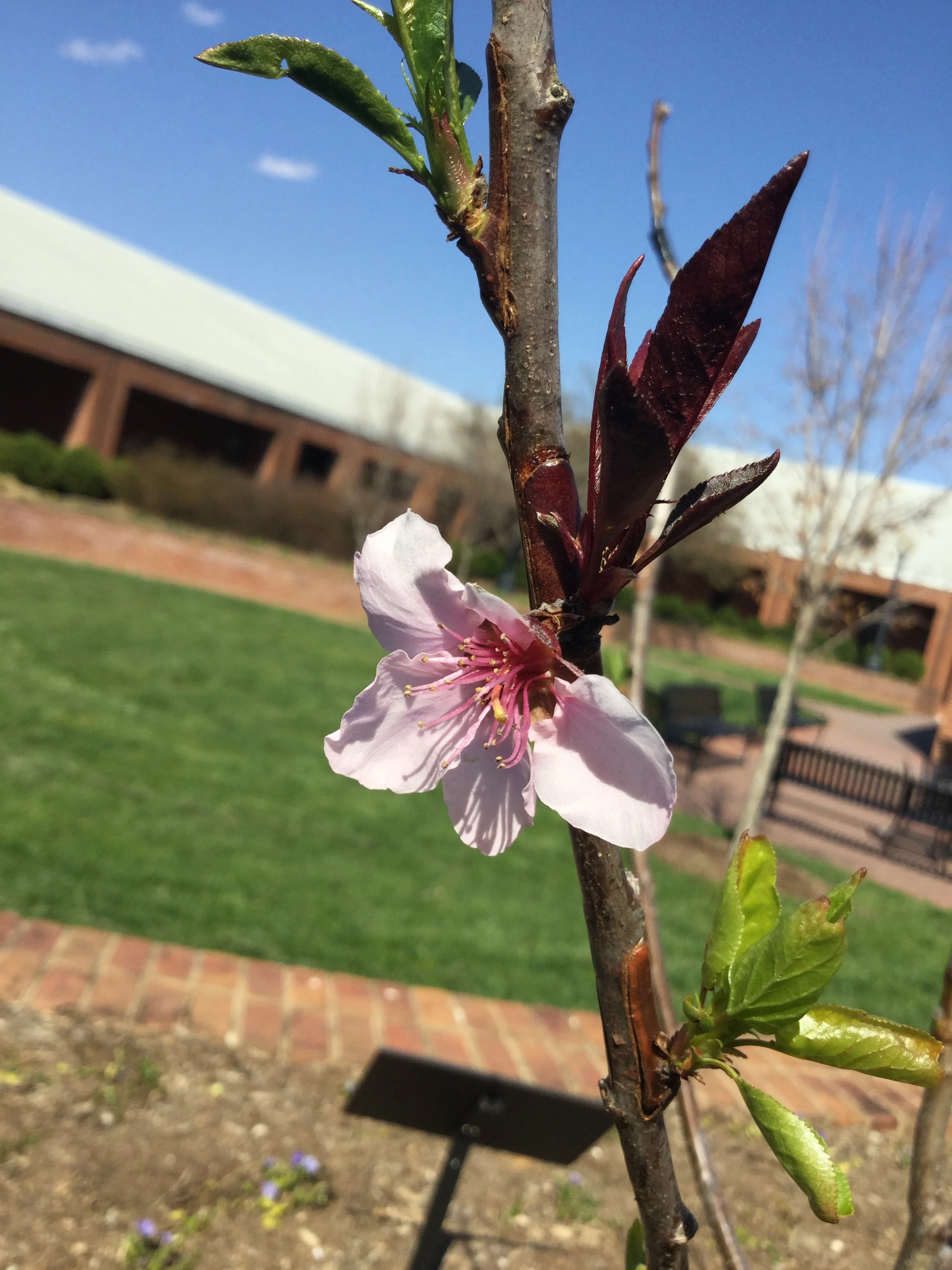 April, 2018