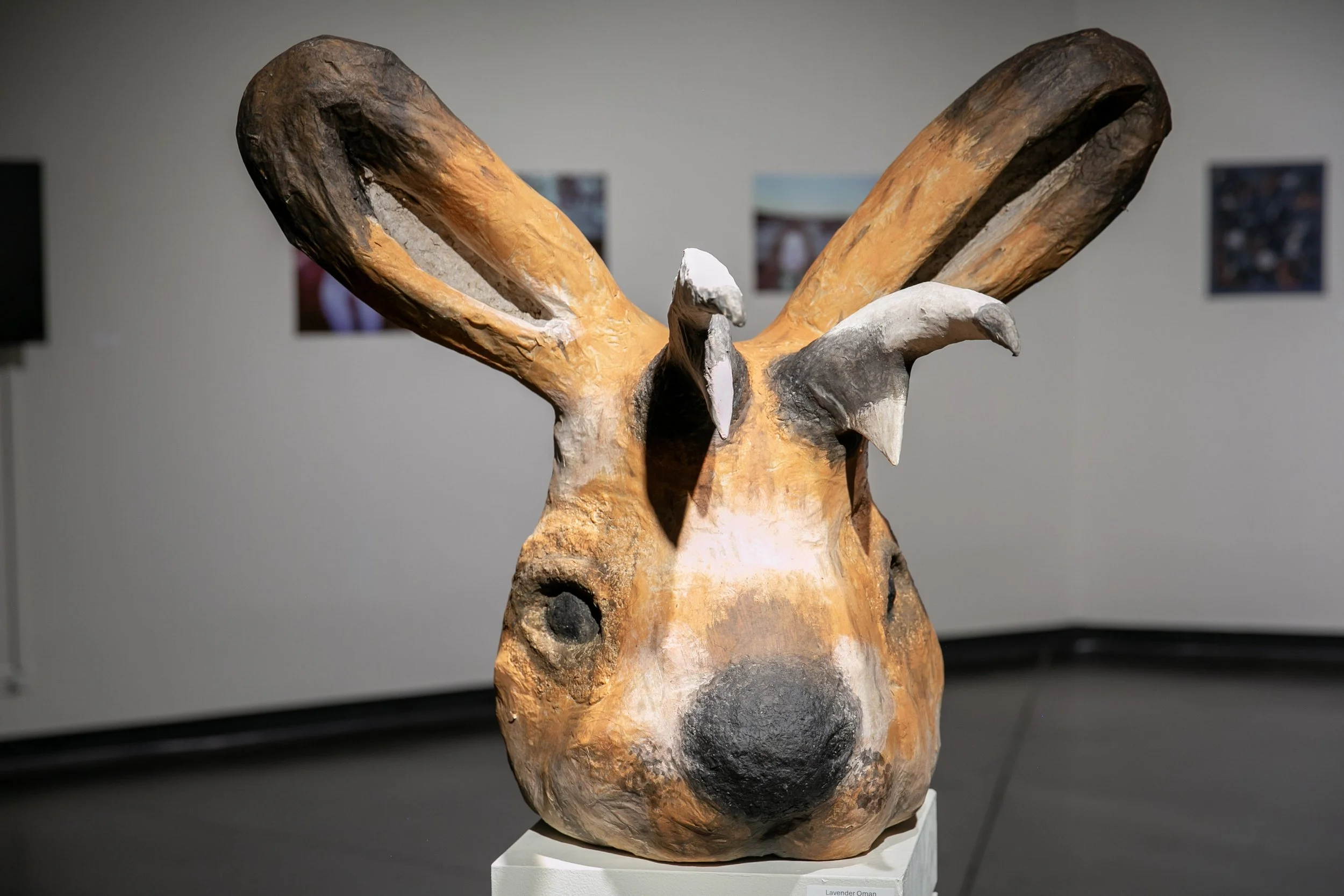 Lavender Oman,  Jacquis the Jackalope , papier-mâché
