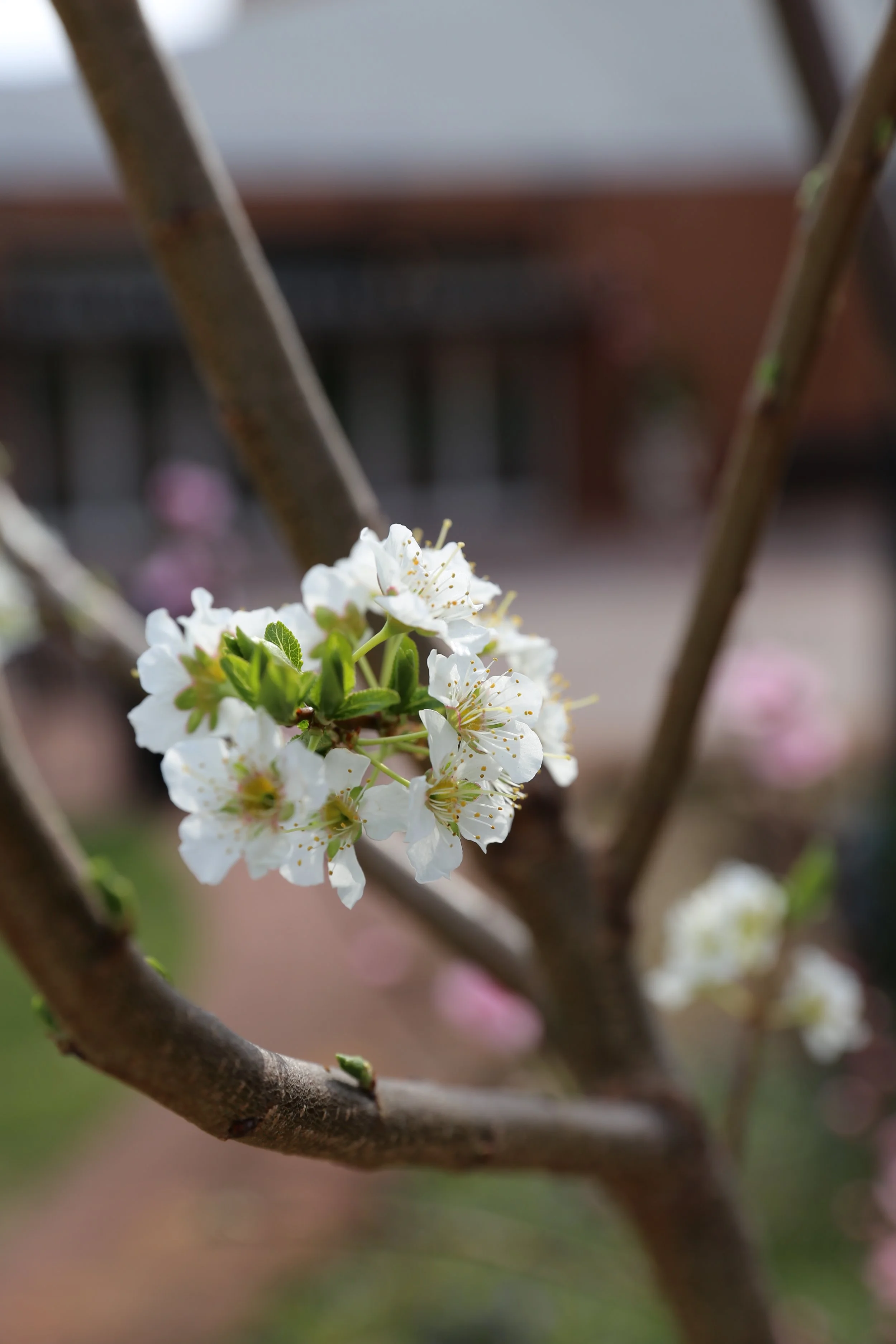 March, 2019