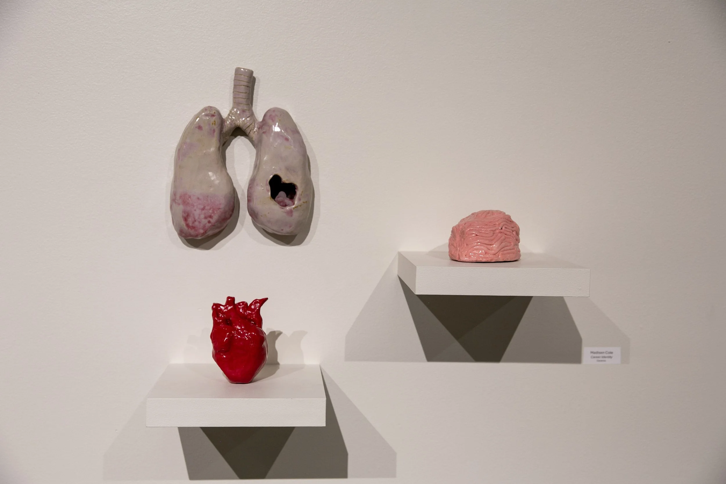 Madisen Cole,  Career Identity , ceramic, JLCCA Award Winner (body of work)
