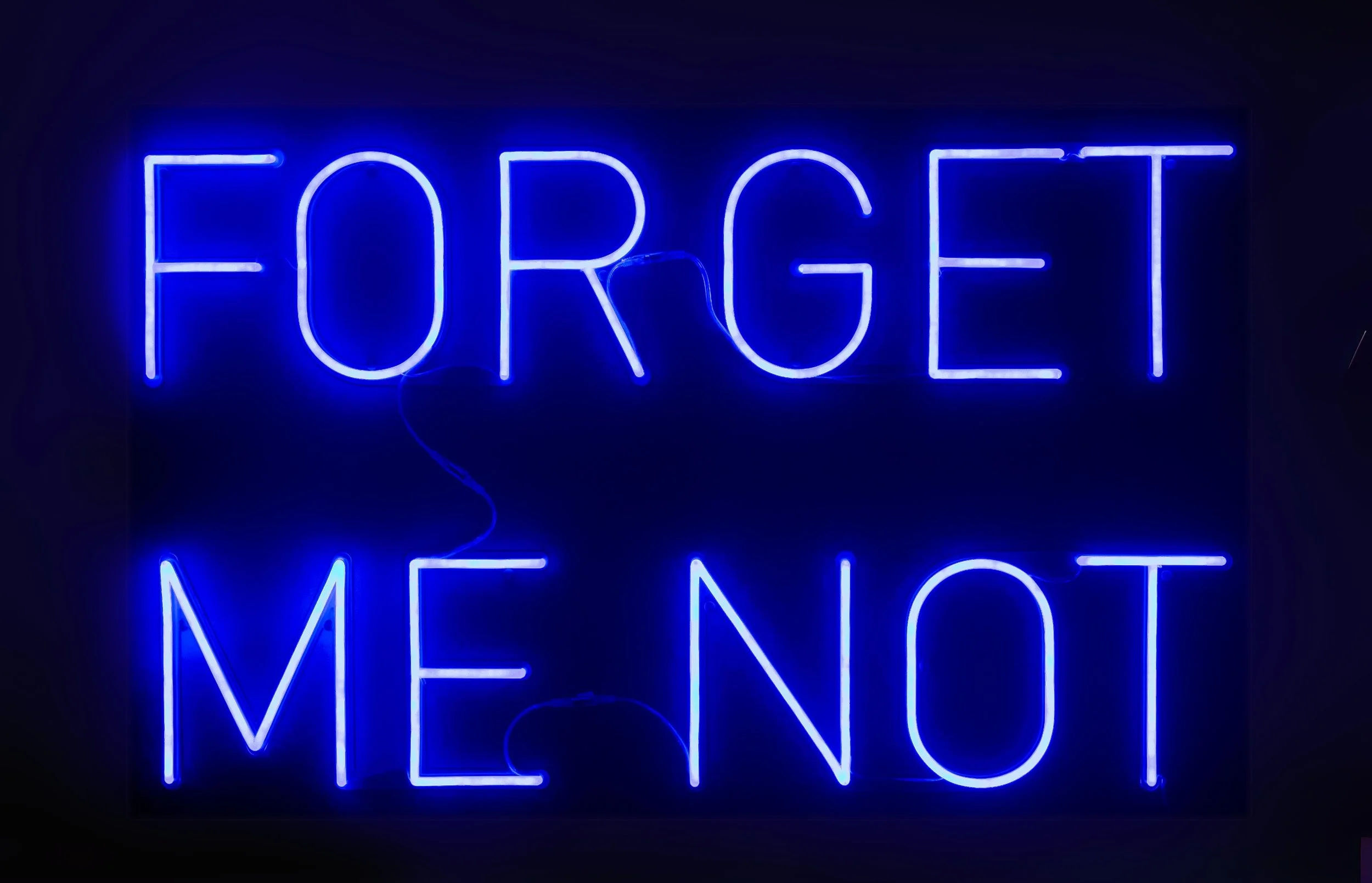 Forget Me Not; September 2024