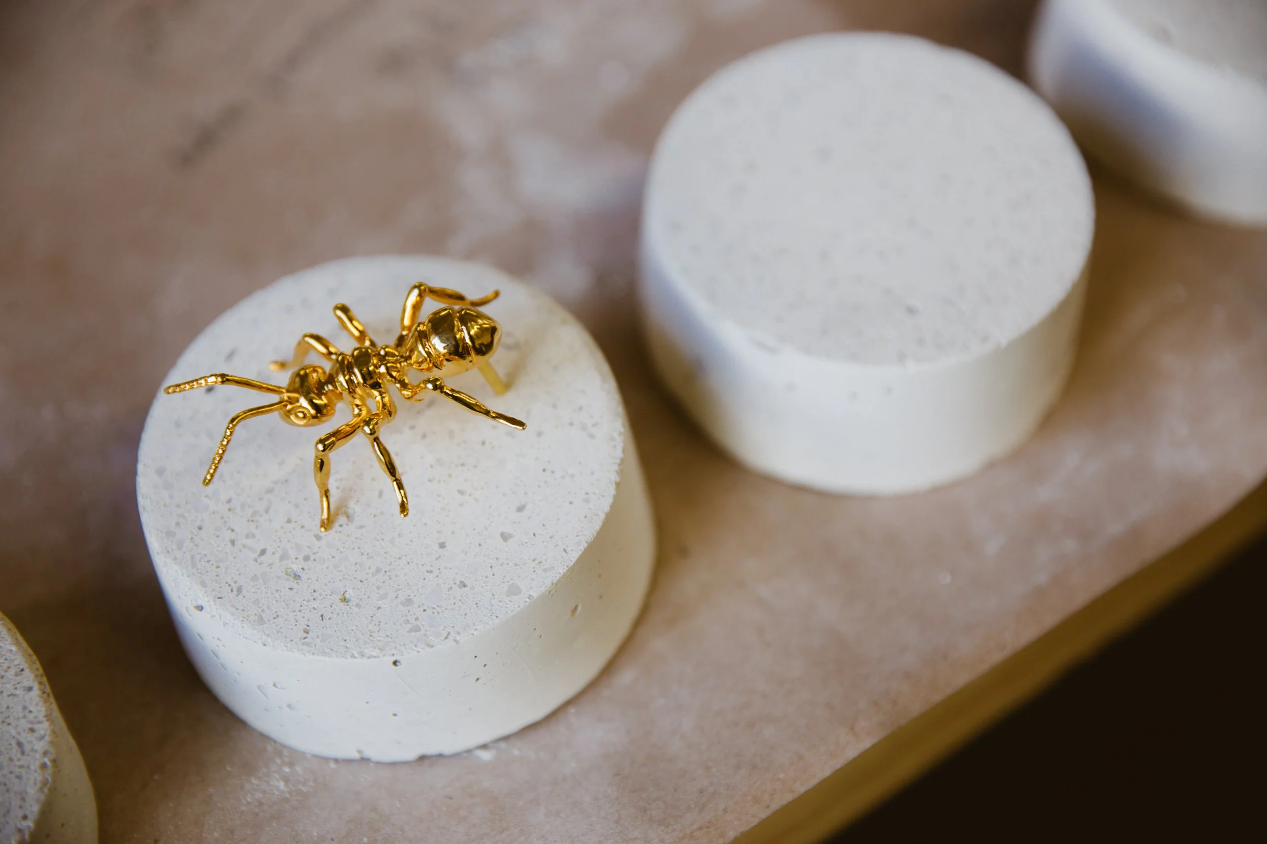 Artwork 2 Development_20180227_006.jpg