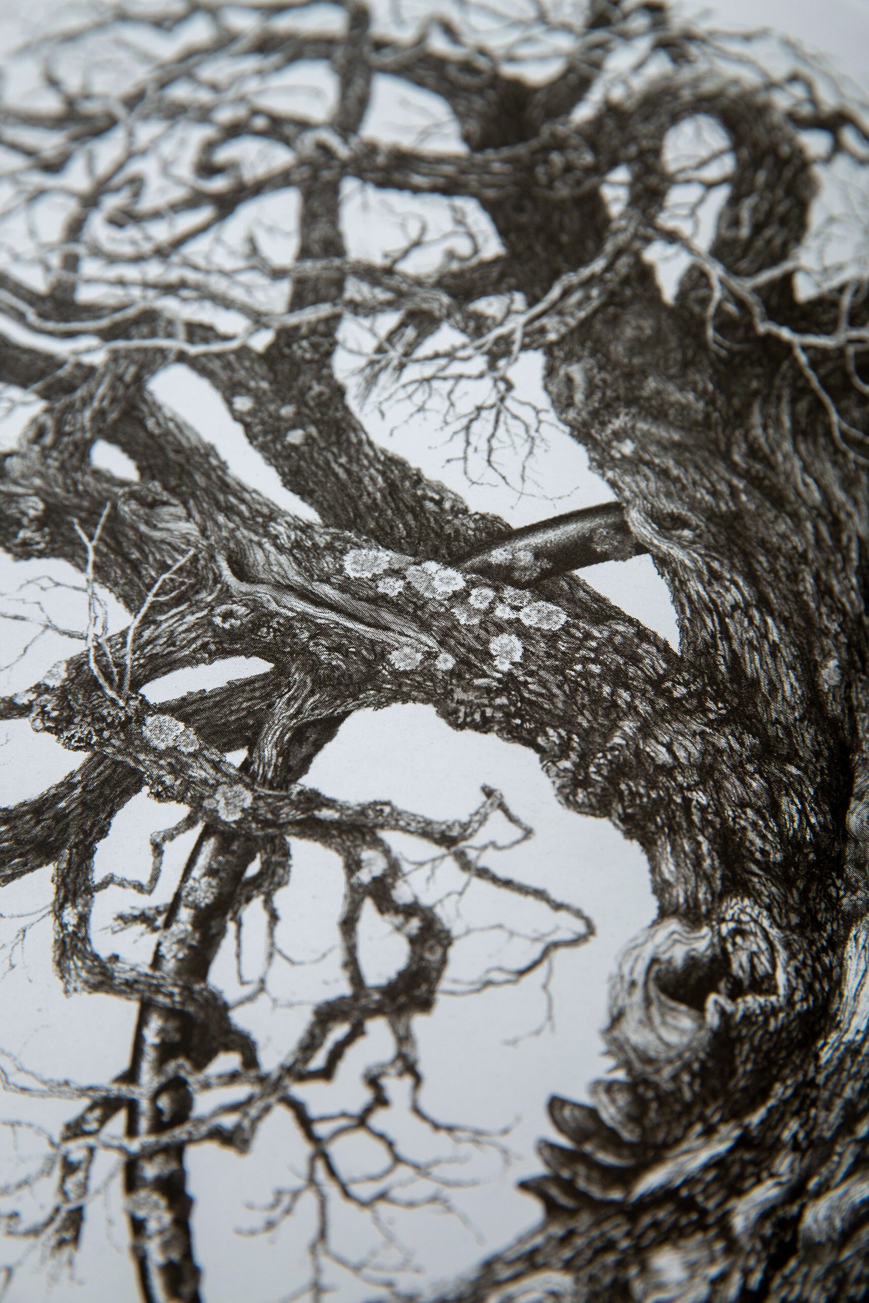 Artwork 4 - Paper Final Shoot_072319_241.jpg