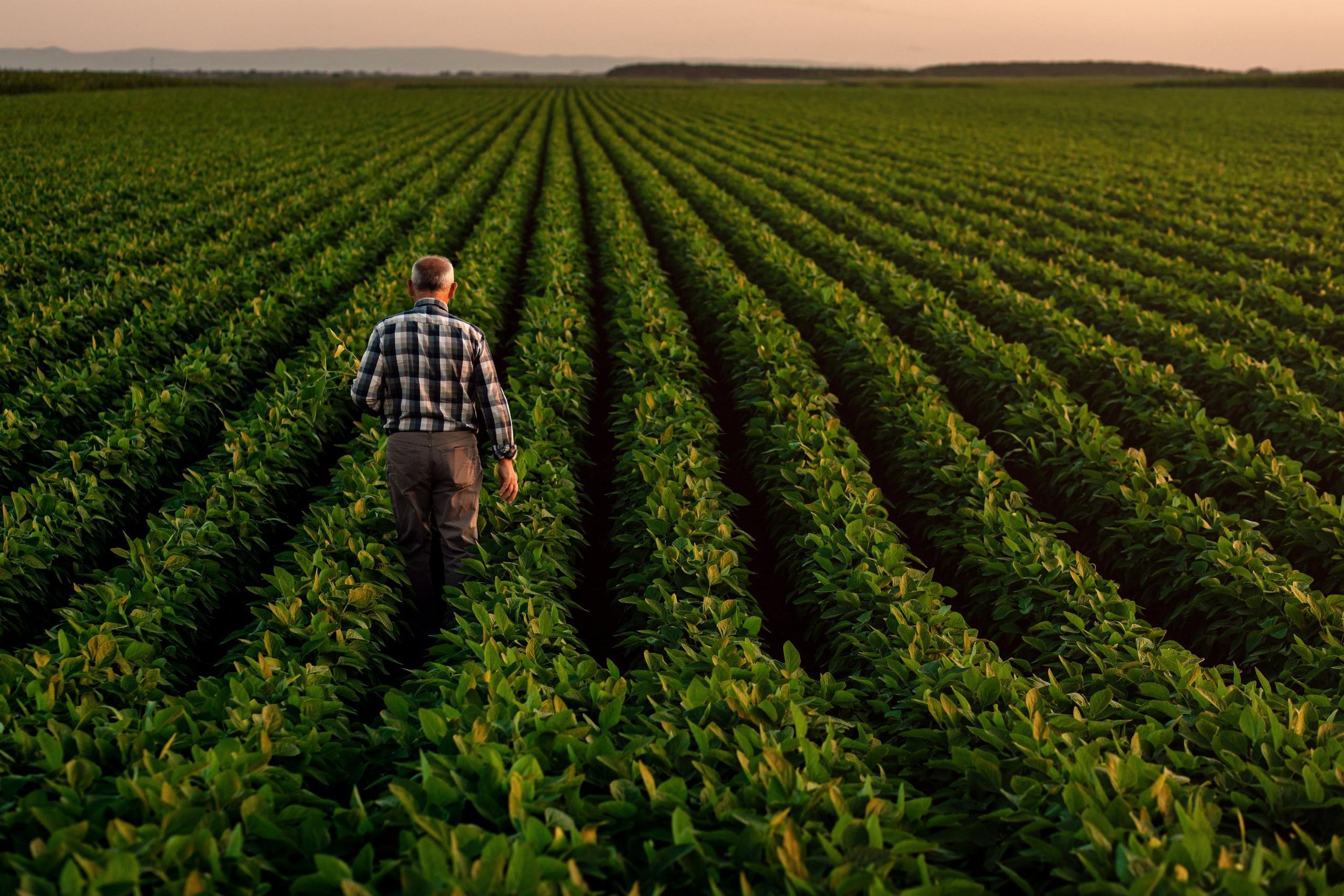 The future of food - the fight for arable land