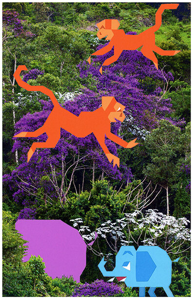 07elliot monkey 2_p7_SMALL.jpg