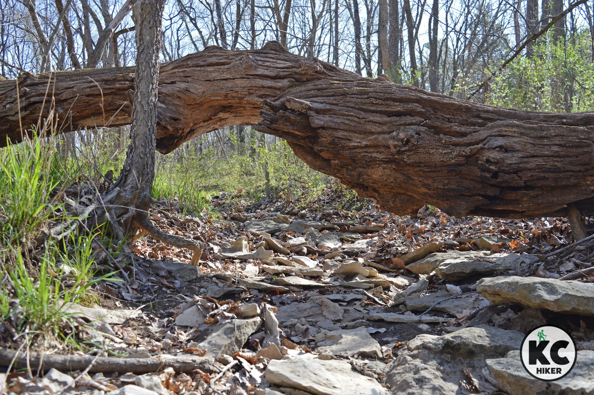 Tcha-To-Ga Trail at Lake Jacomo