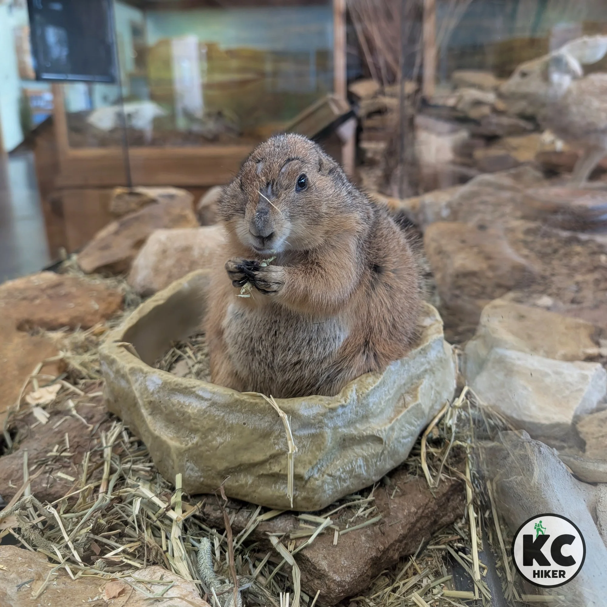 Prairie Park Nature Center, Lawrence, Kansas
