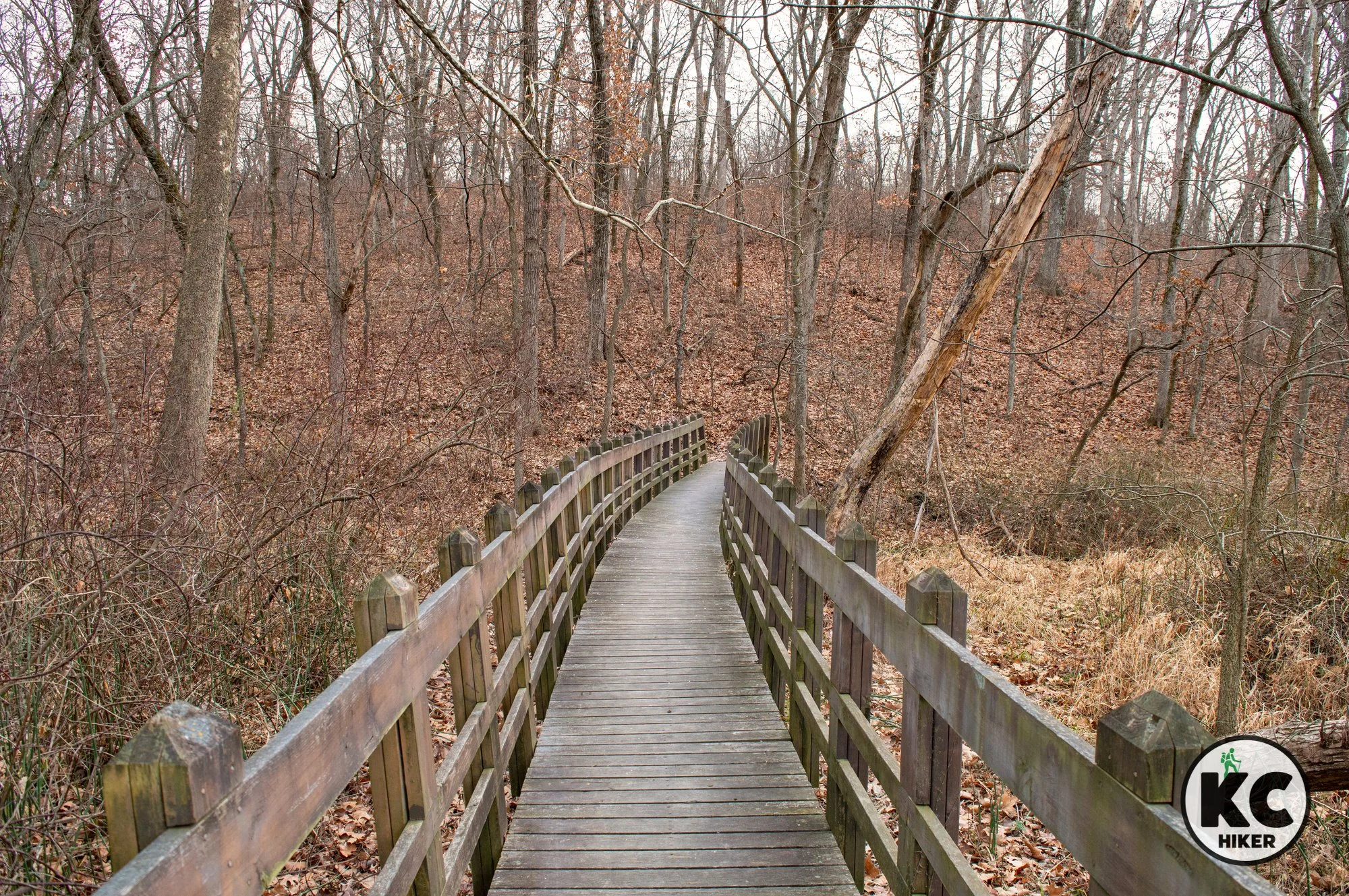Hike rolling, wooded hills at Wallace State Park