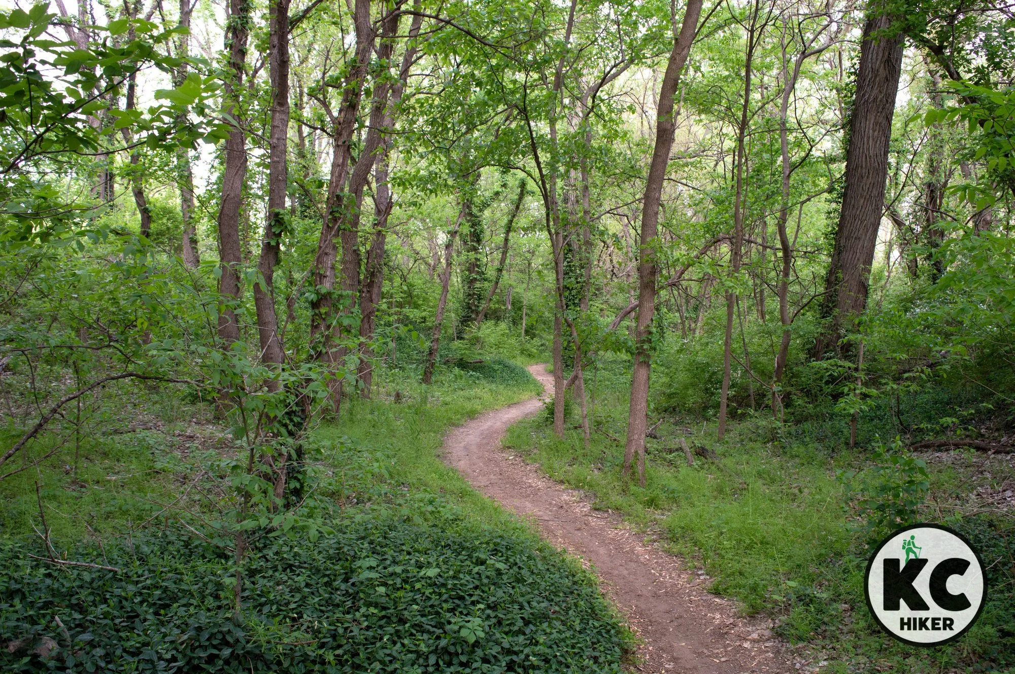 The Lawrence River Trail winds through pristine backcountry