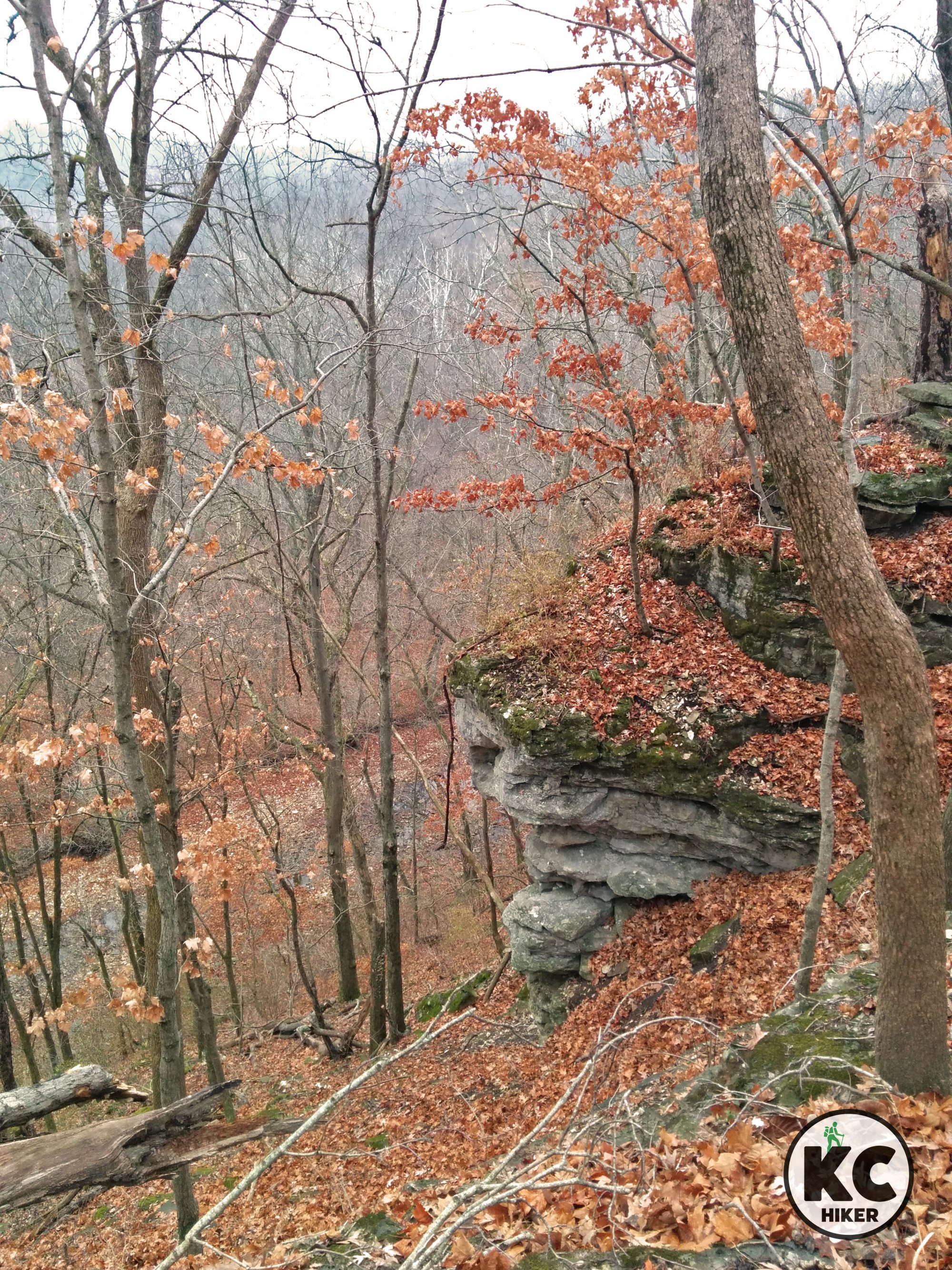 Rock Bridge Memorial State Park - Missouri 2.jpg