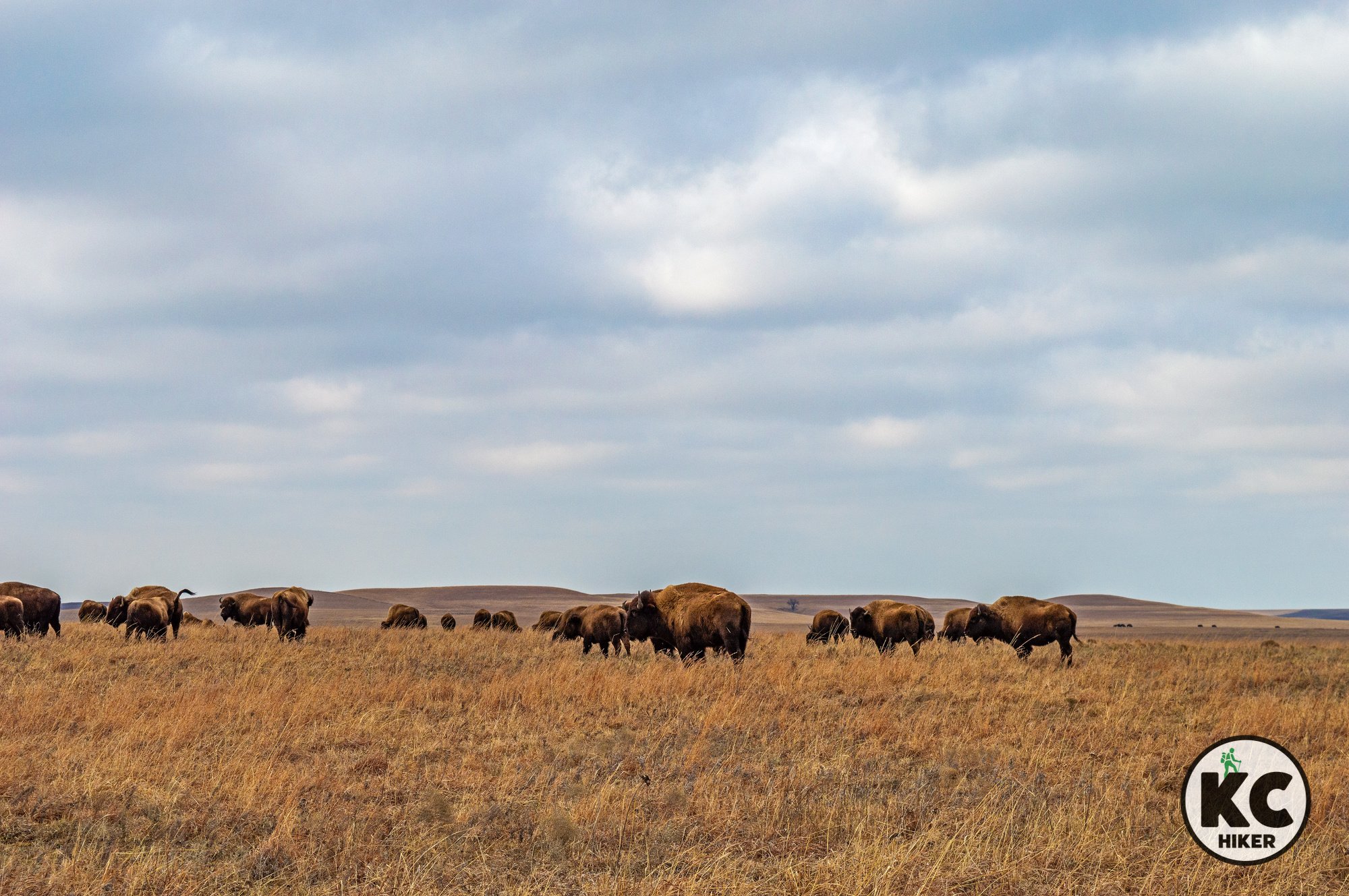 Tallgrass Prairie National Preserve - Kansas  10.jpg