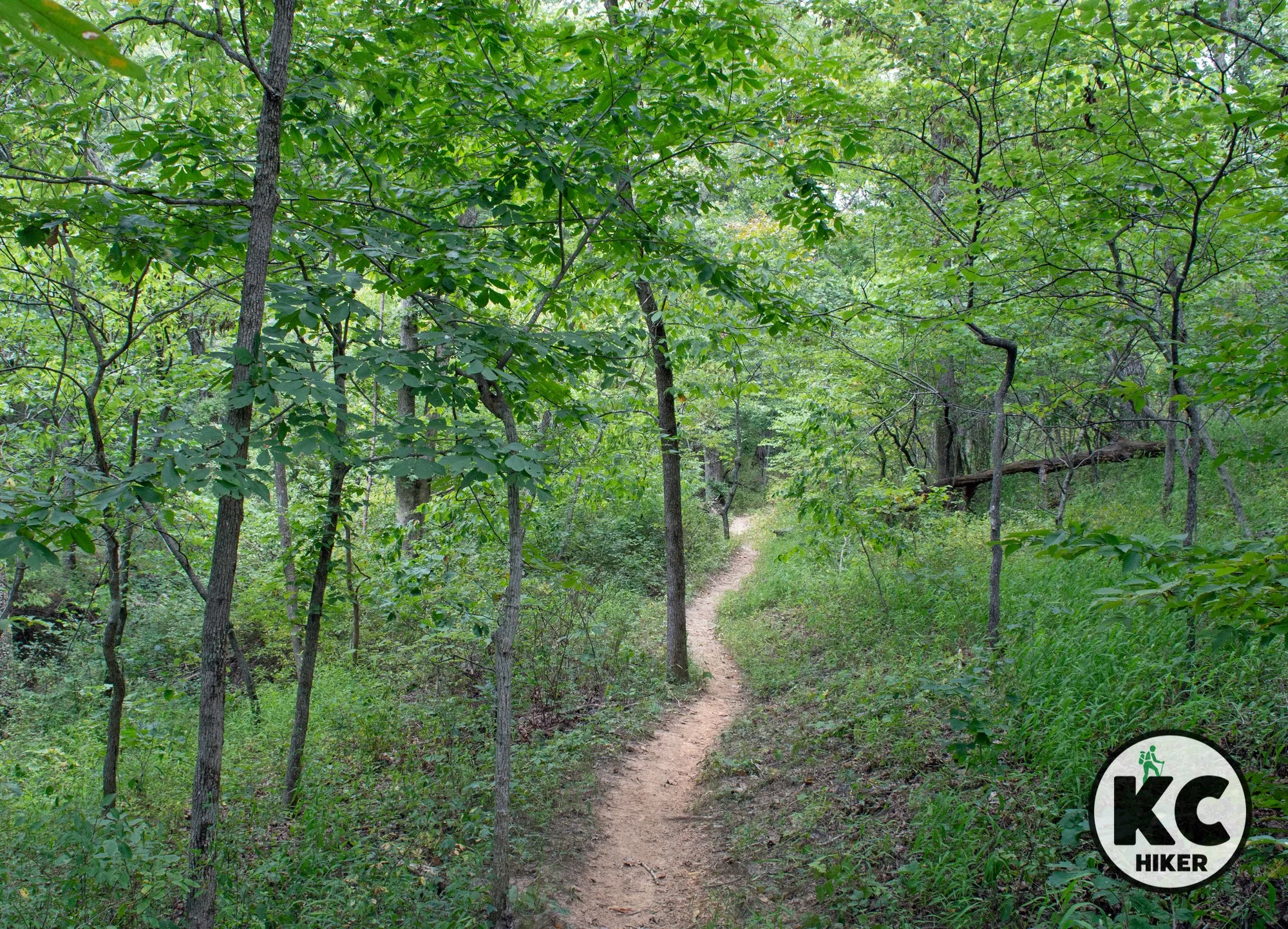 Knob Noster State Park: An island of forest in Central Missouri