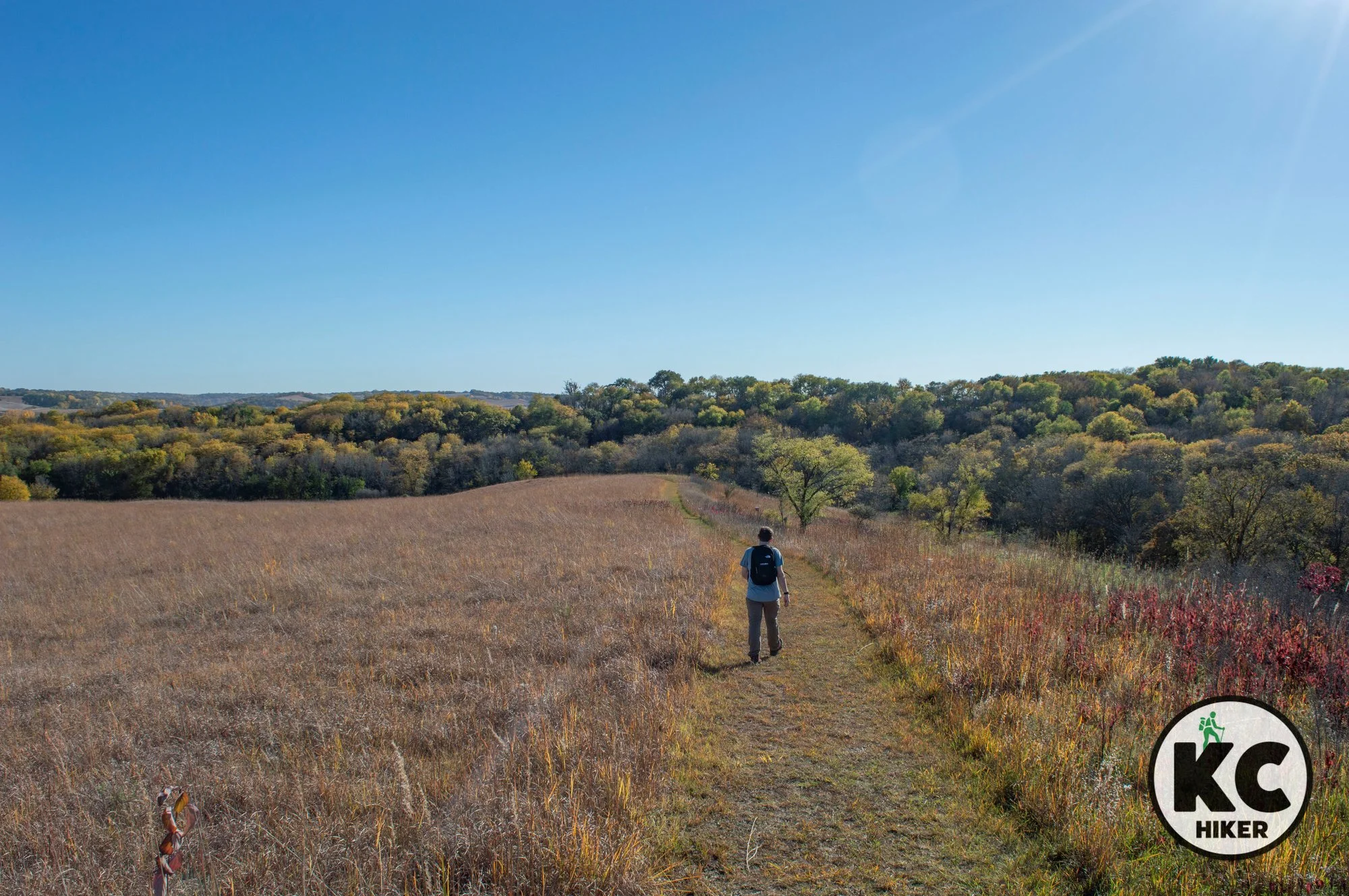 Preparation Canyon: Solitude in Iowa’s Loess Hills