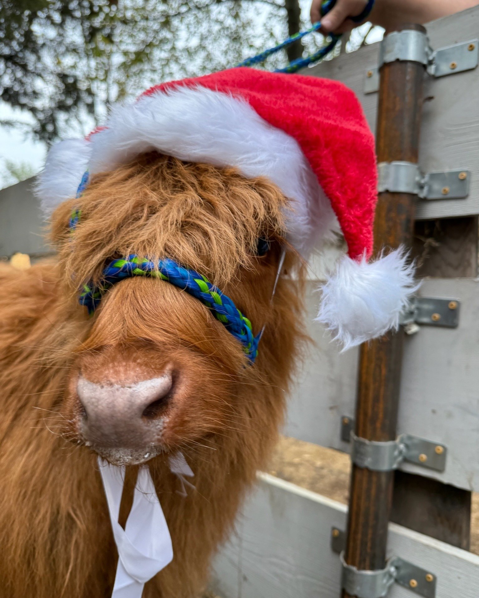 KC Pumpkin Patch Winter Wonderland