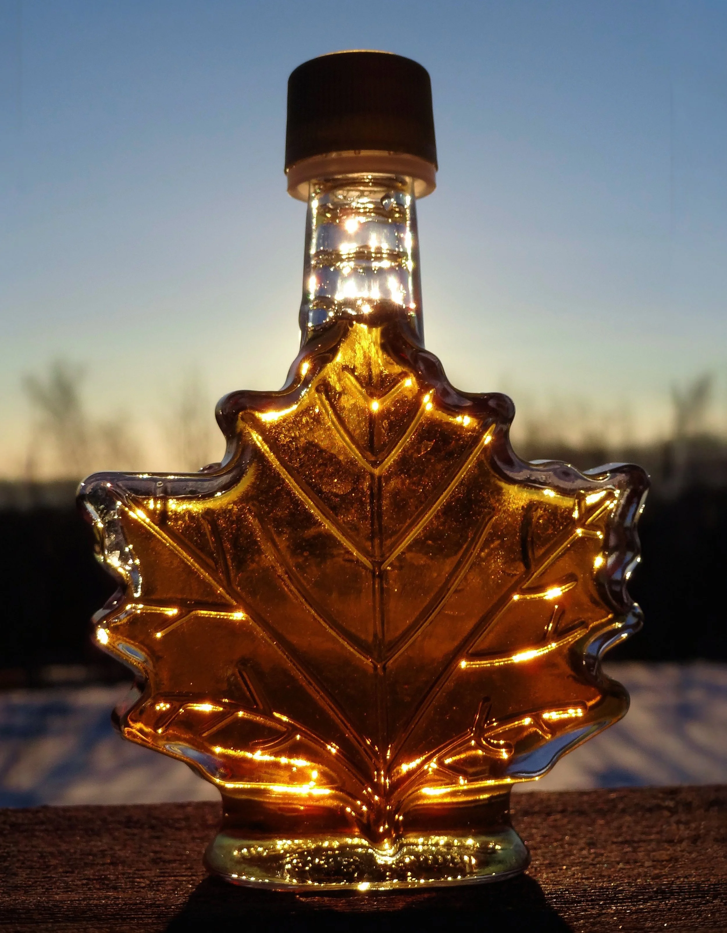 What’s on tap? Making syrup from sap