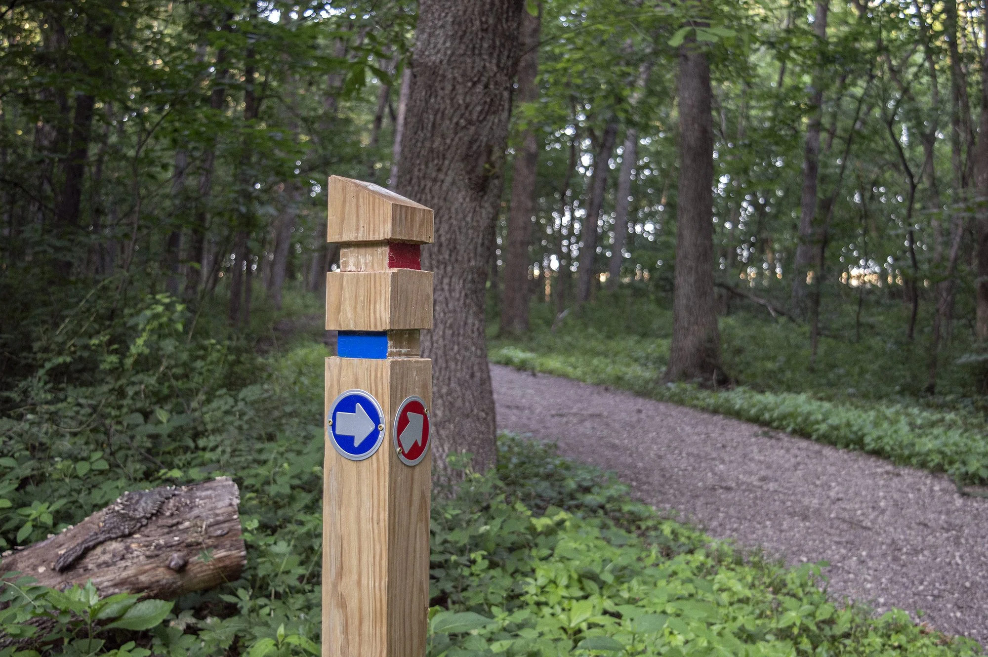 Hike with a Naturalist at Lakeside Nature Center