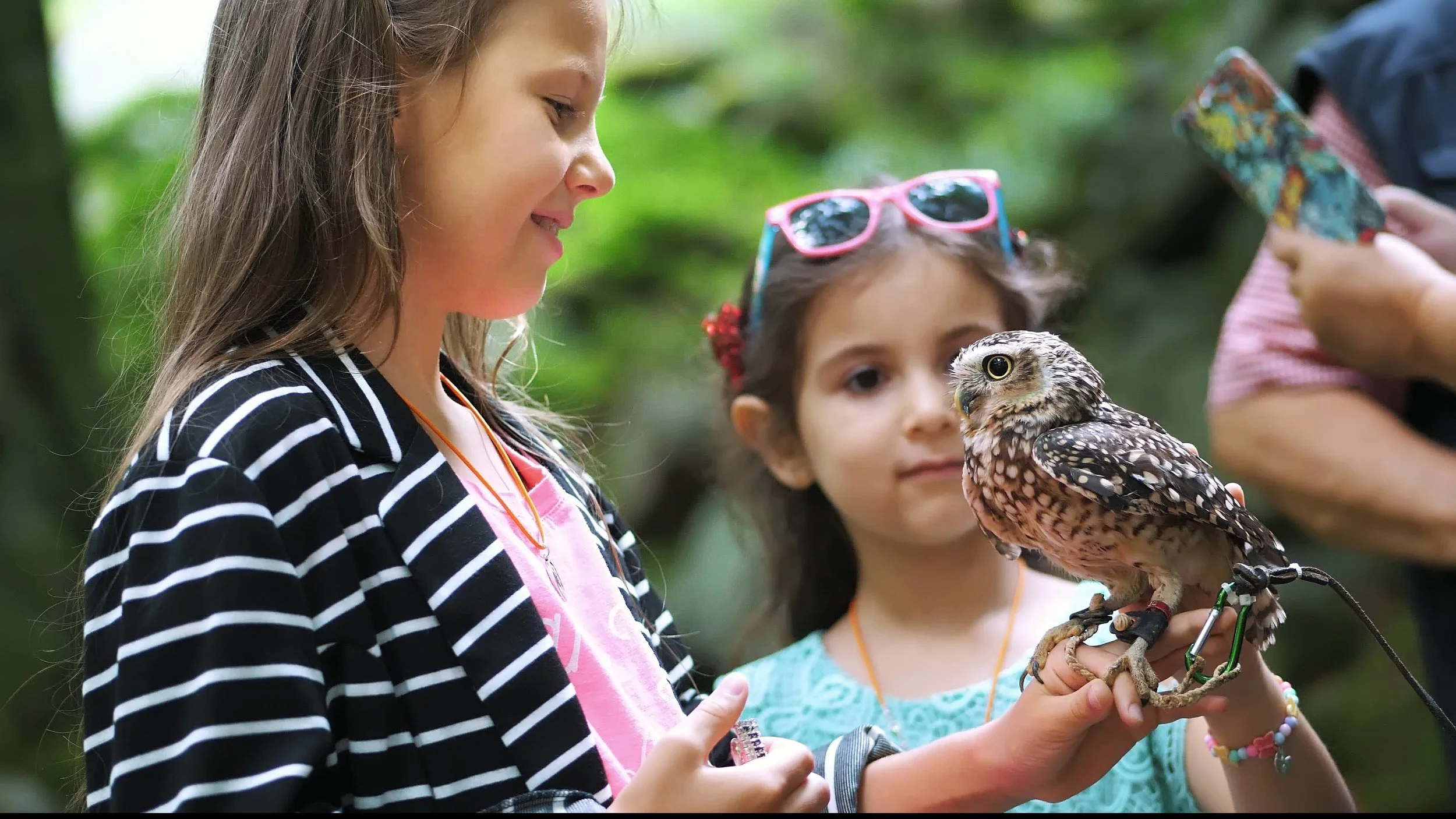 Nature Storytime at the Schlagle Library