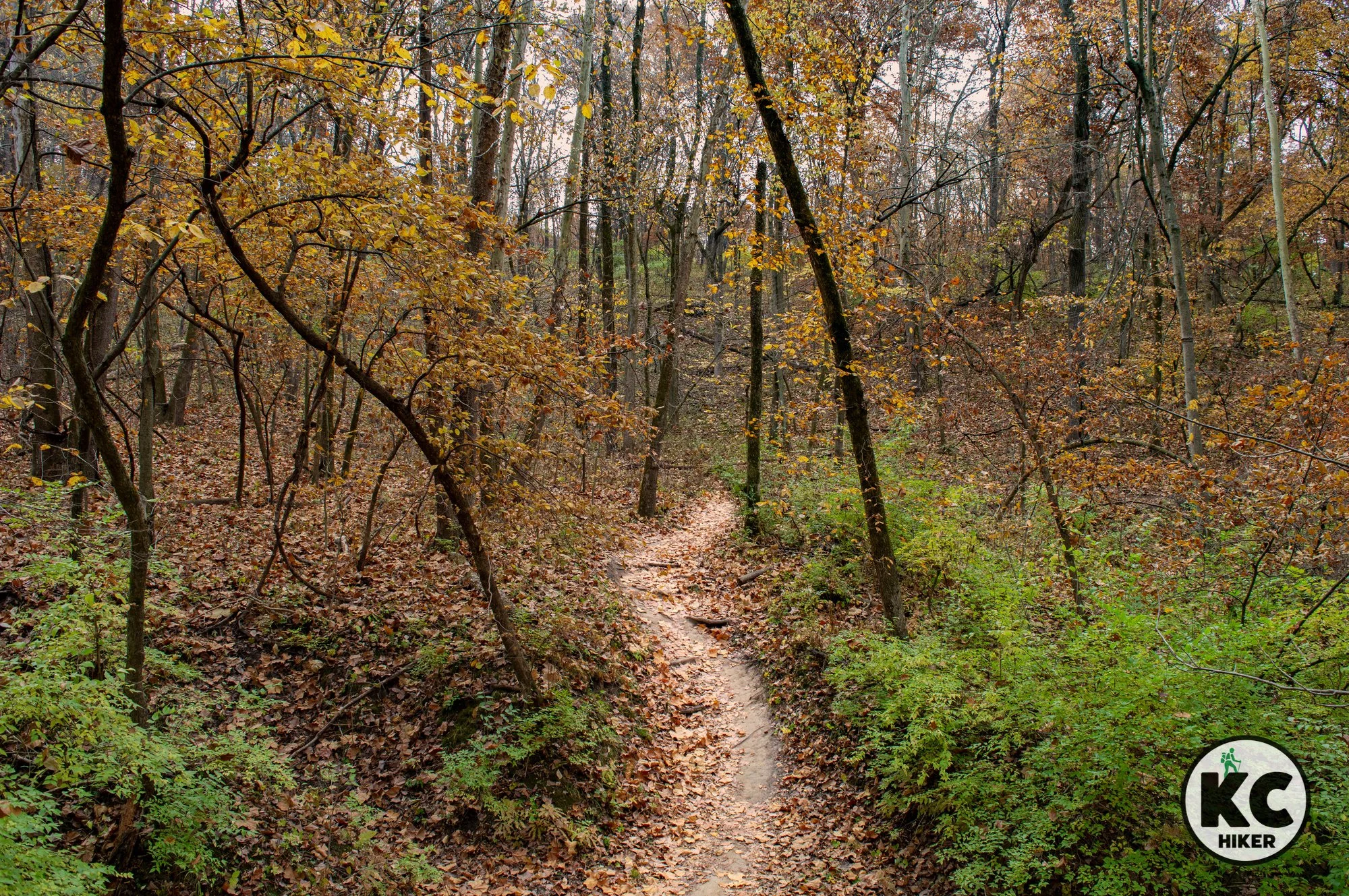 Group Hike at Hidden Valley Park