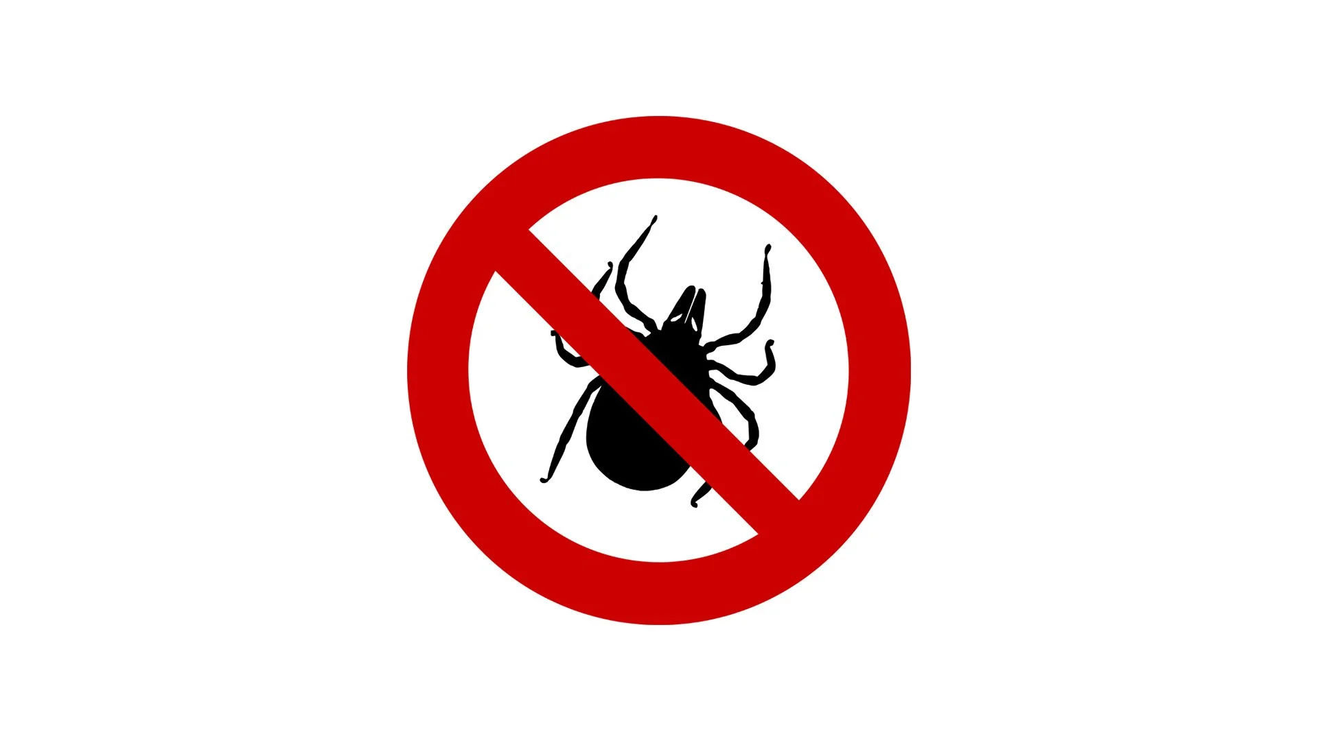 Ticked off? Preventing and treating bites from ticks and no-see-ums in Kansas City