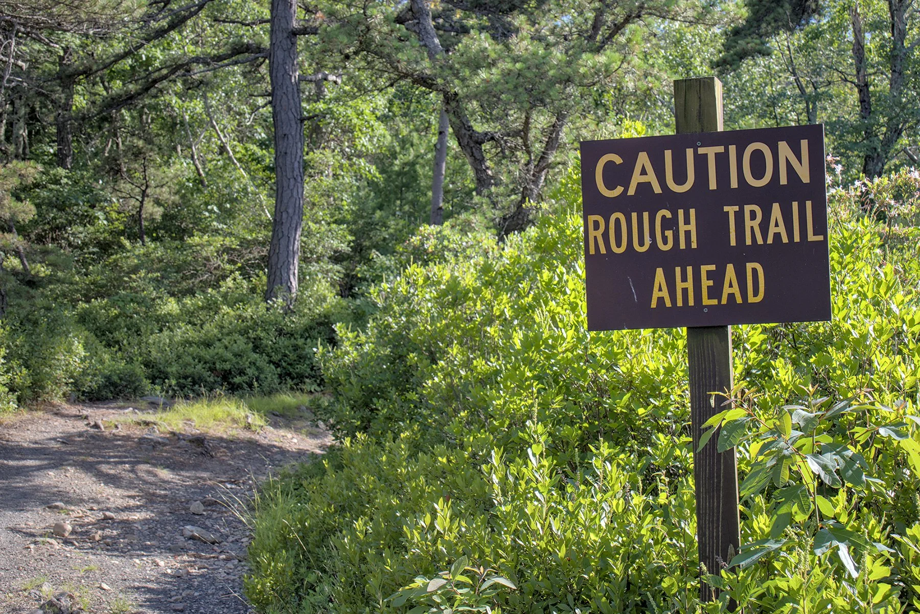 Your Brain Is Lying to You About That Hike