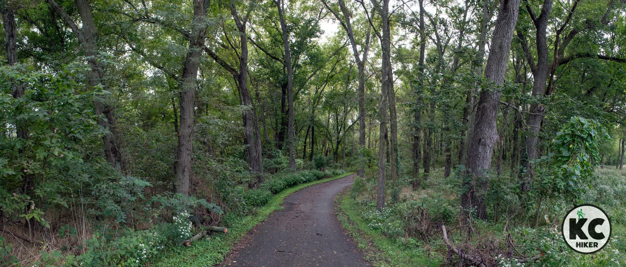 Revitalized wetlands surround Grain Valley’s Blue Branch Creek Trail