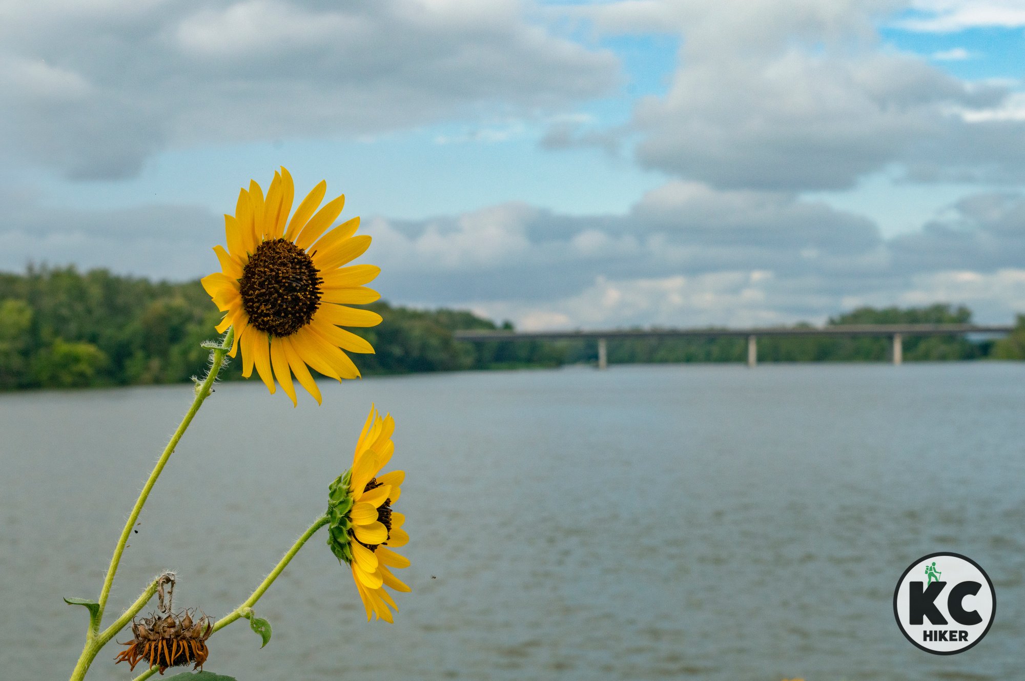 Lawrence’s Burcham Park Trail parallels the Kaw River
