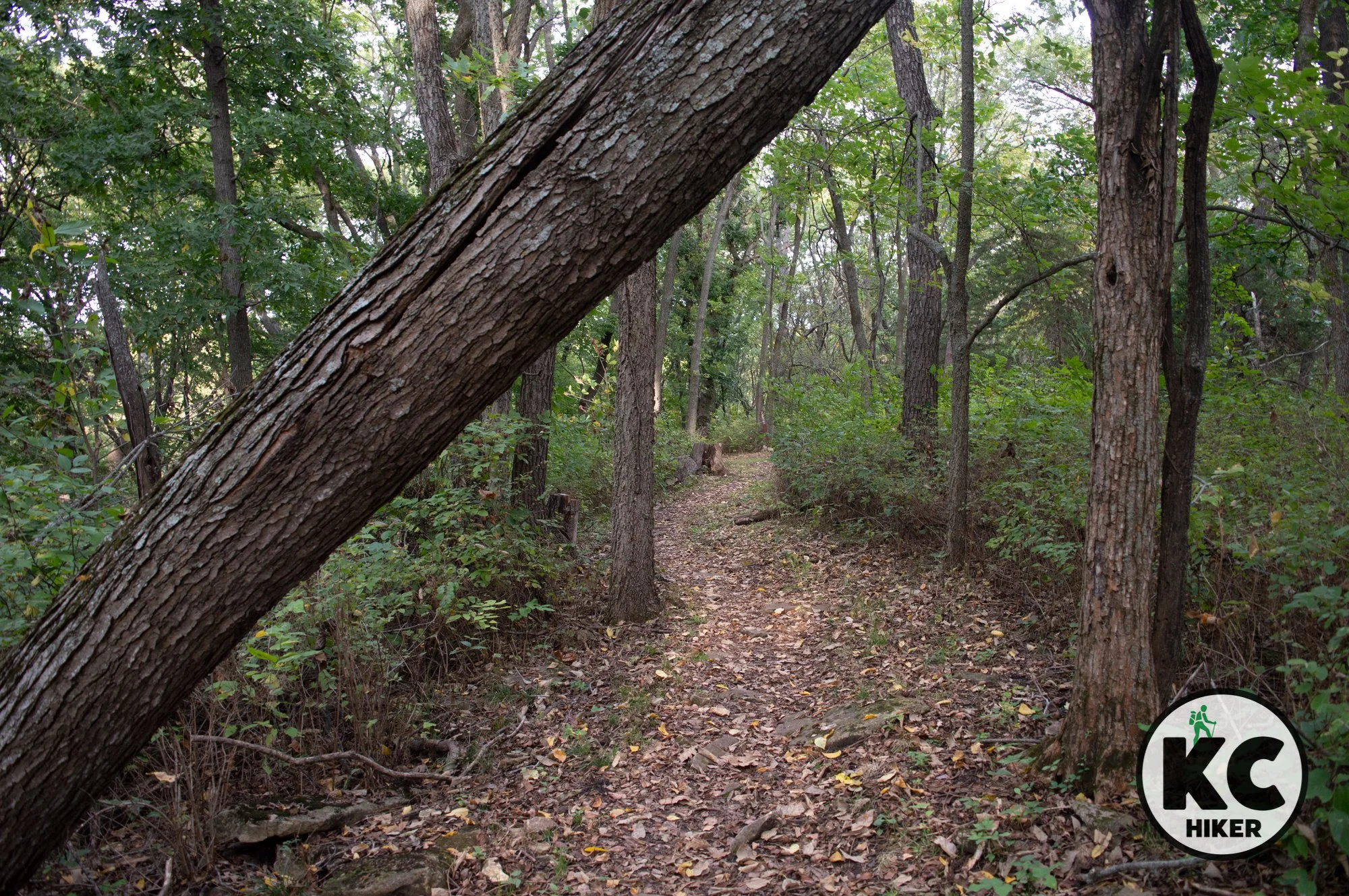 Big Bull Creek Park, Johnson County, KS
