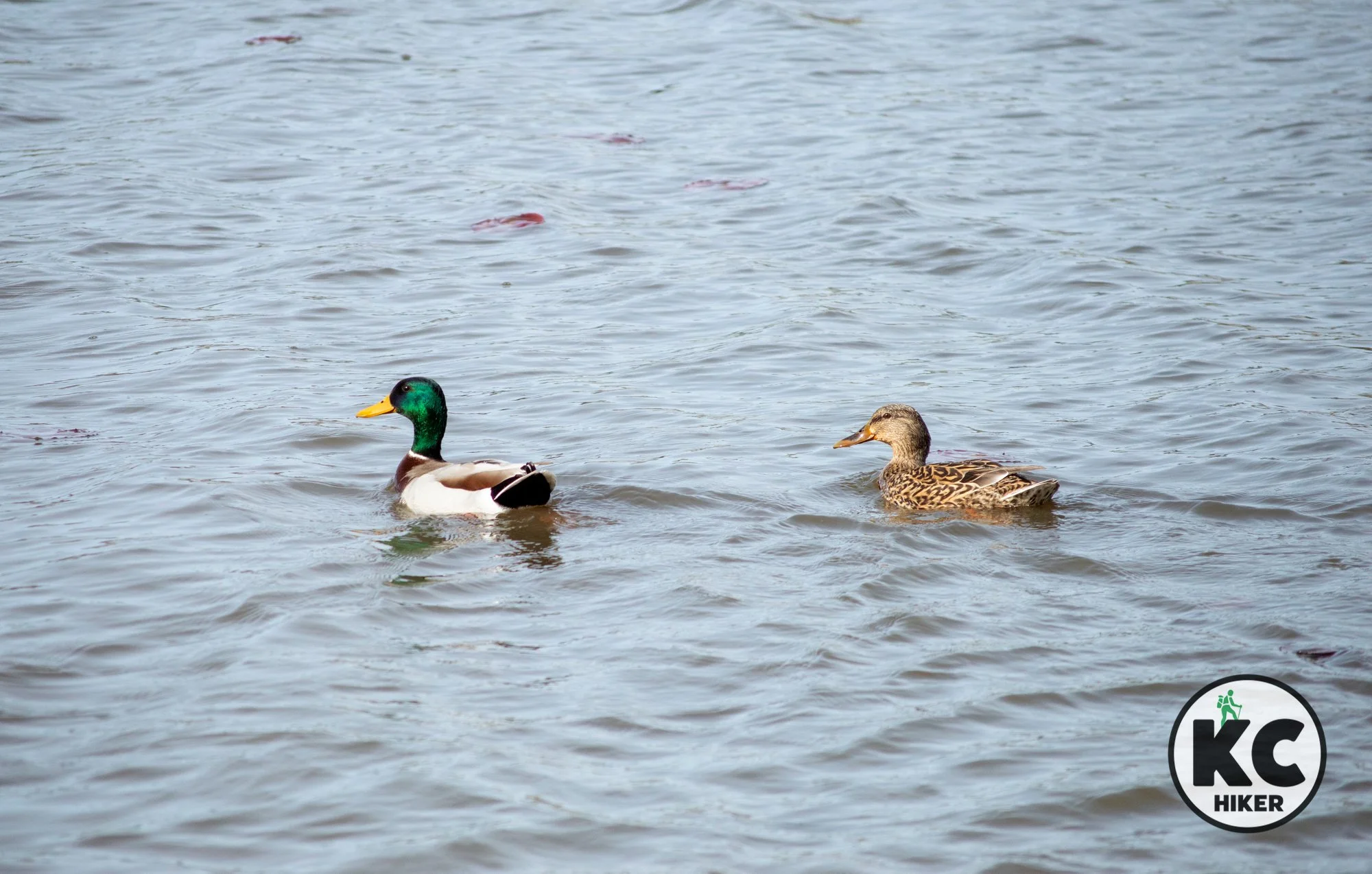 The Blue River Streamway Trail in Overland Park, Kansas