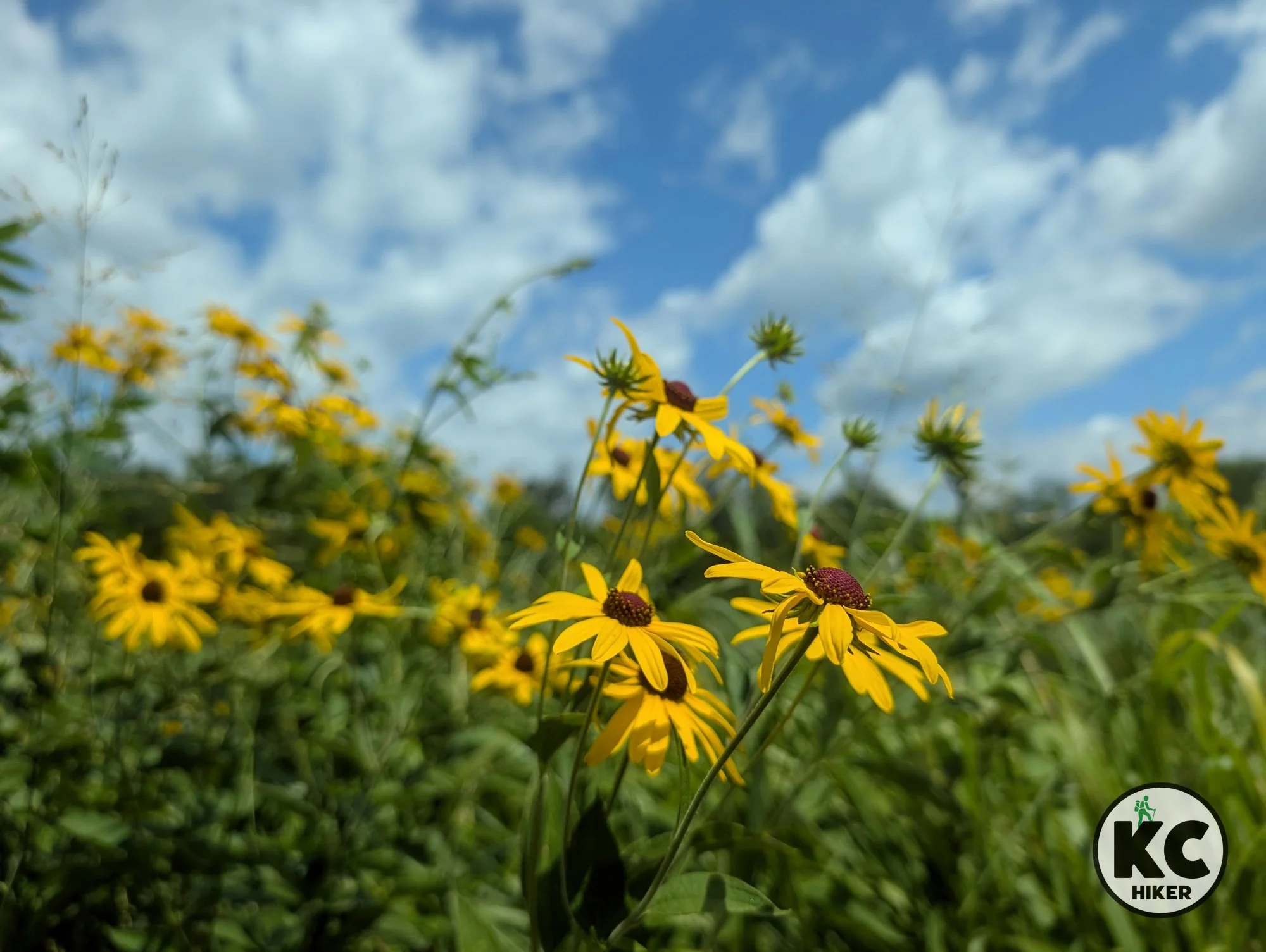Prairie Park Nature Center, Lawrence, Kansas