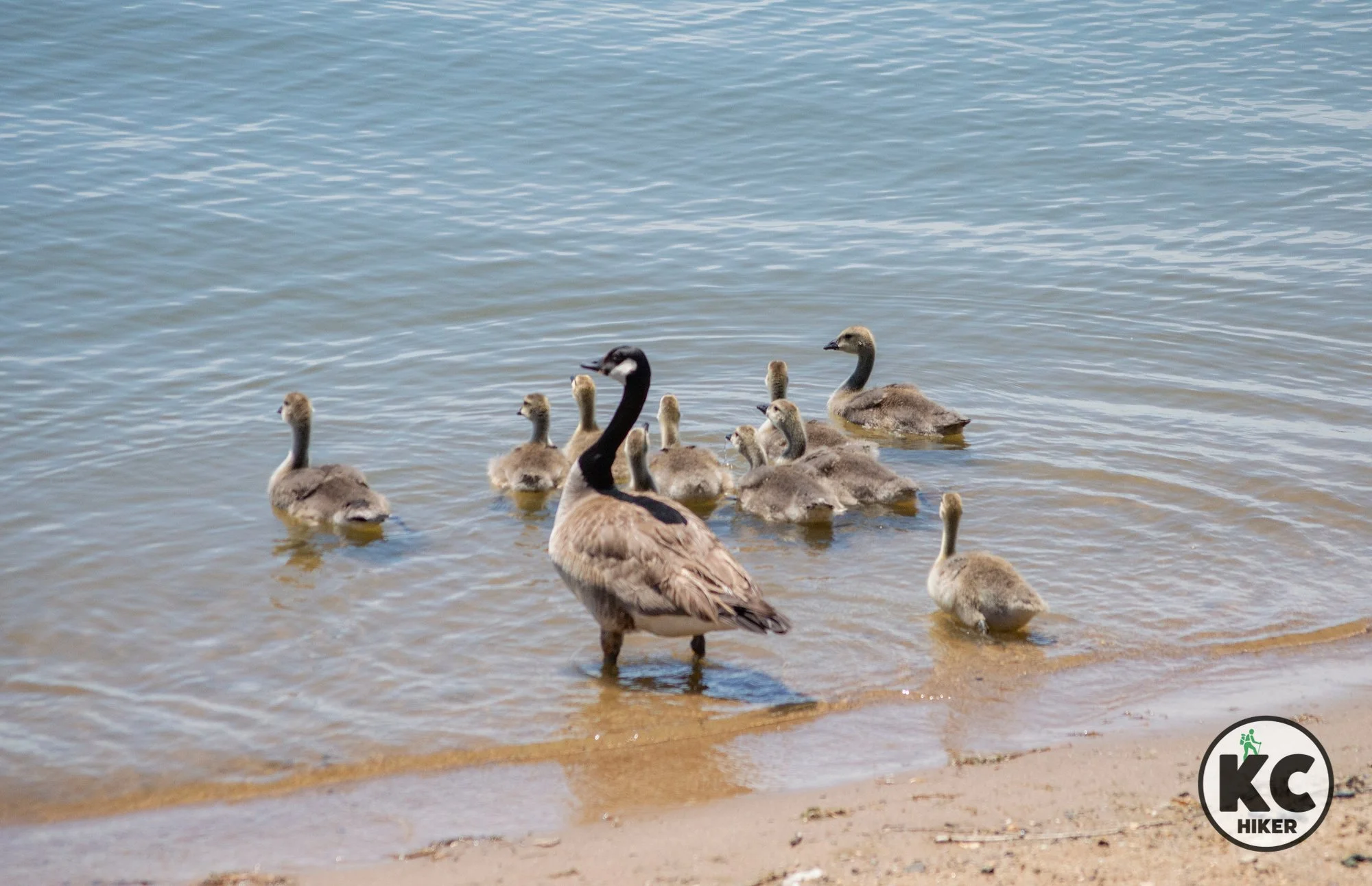 Smithville Lake, in Clay County, Mo., is home to more than 50 miles of hiking trails.