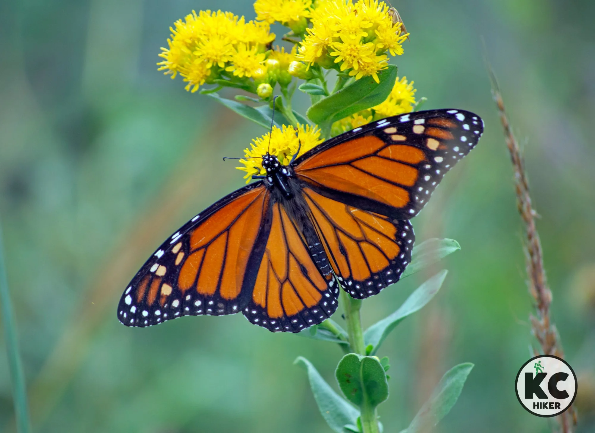 Prairie Park Nature Center in Lawrence, Kansas