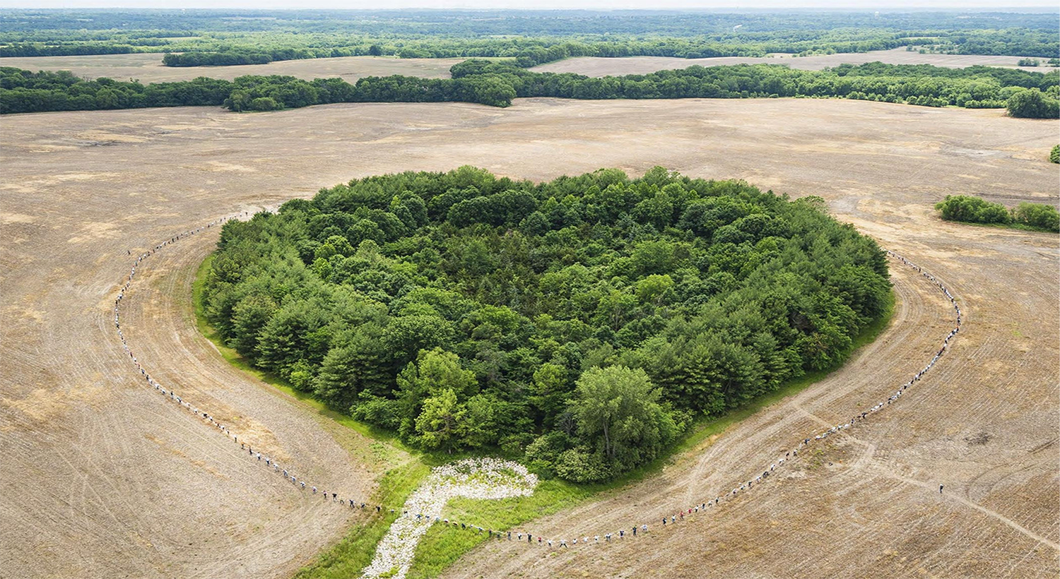 The Heart Forest comprises 2,500 trees on 8 acres near Kansas City International Airport.