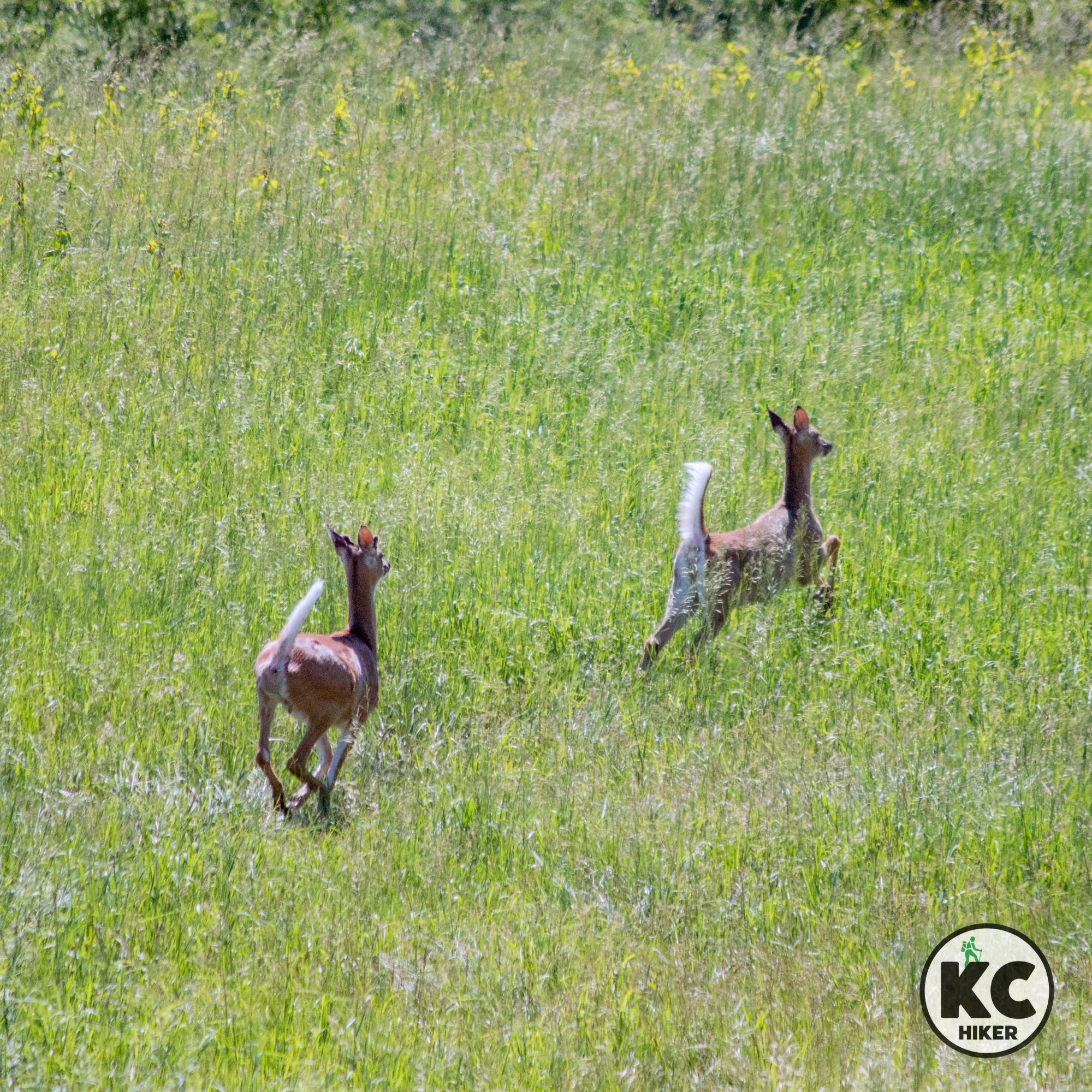 Lake Remote Park and Nature Area, Smithville, Mo., offers a quiet hiking trail.