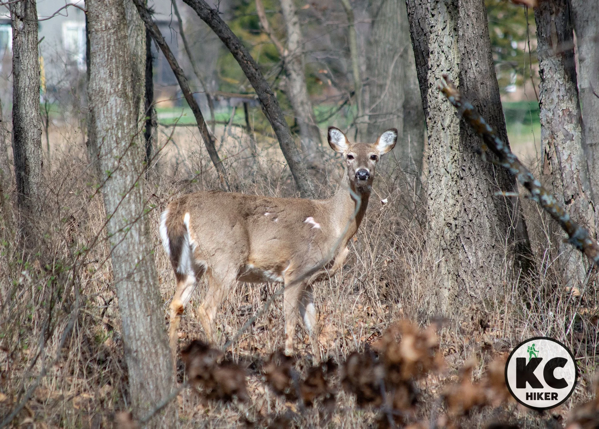 The Blue River Streamway Trail in Overland Park, Kansas
