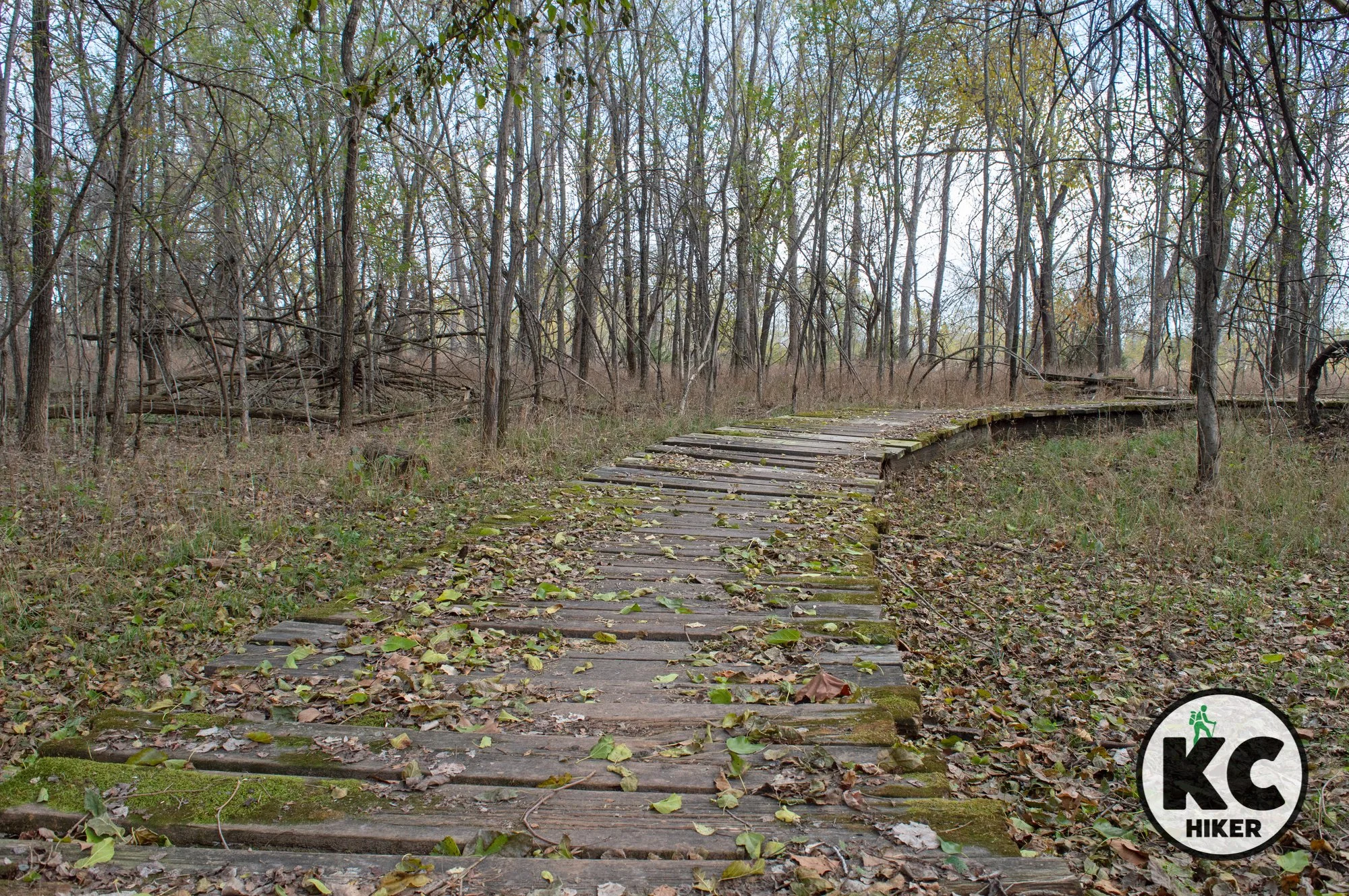 The Lawrence River Trail explores bottomland forest along the Kaw River in Lawrence, Kansas.