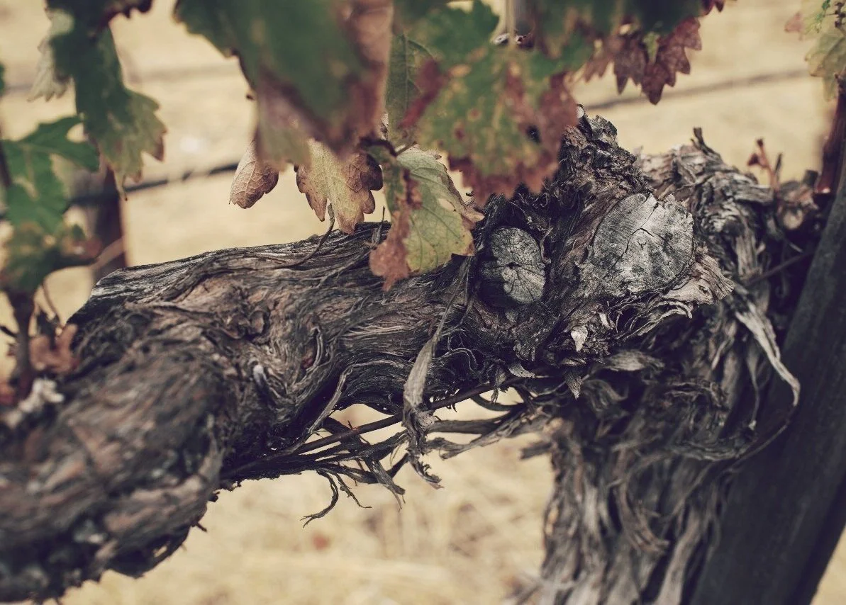 CLIENT GIFT AO WINES