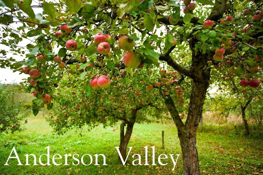 Visit Mendo (pt 3 of 3)