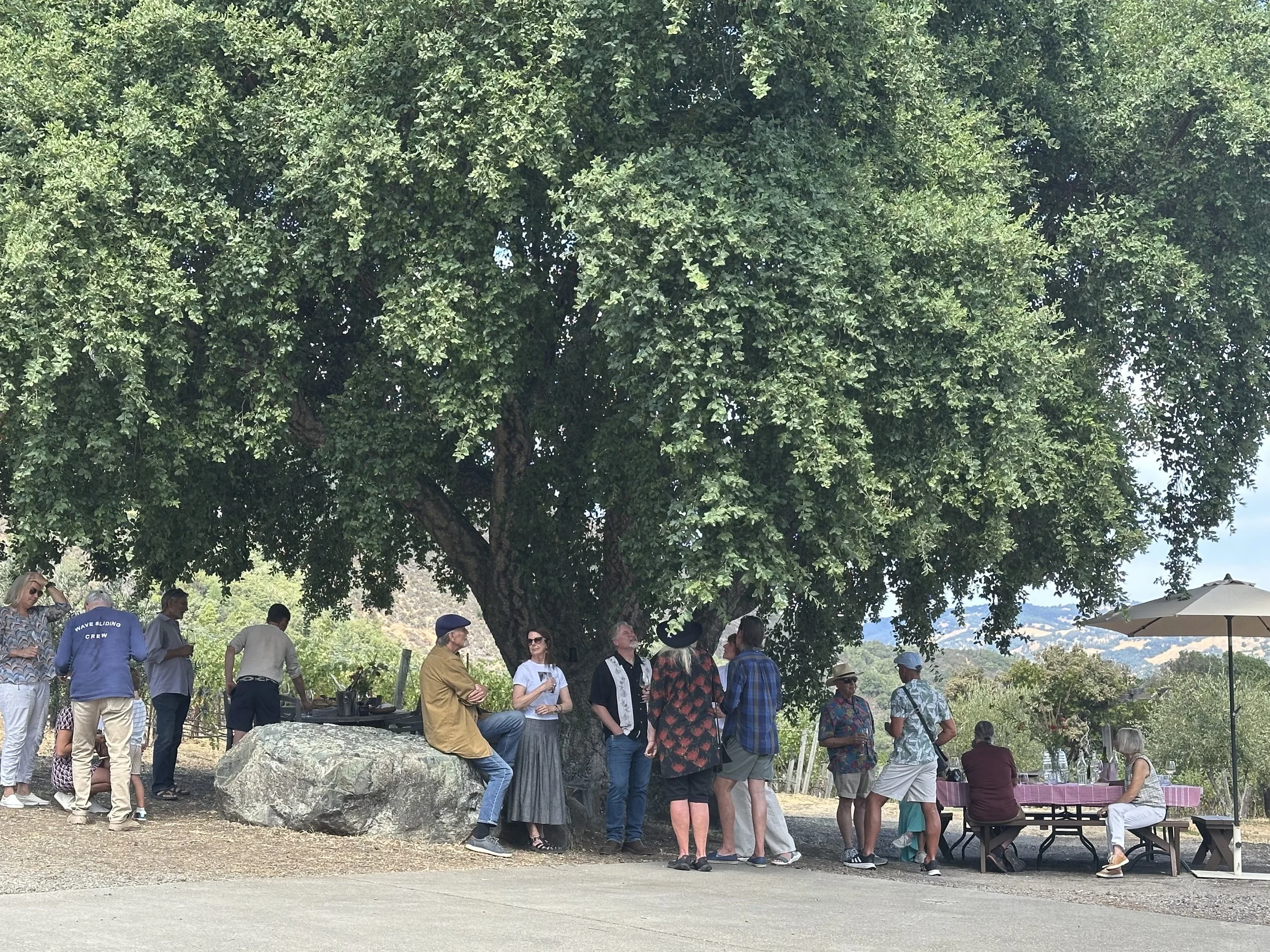 Harvest Party 2026